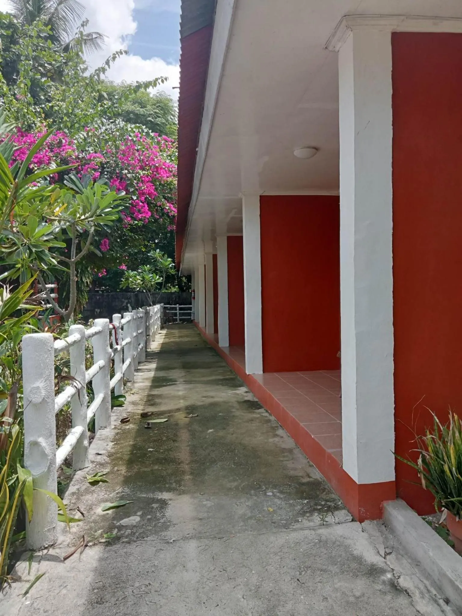 Property building in Malapascua Beach and Dive Resort