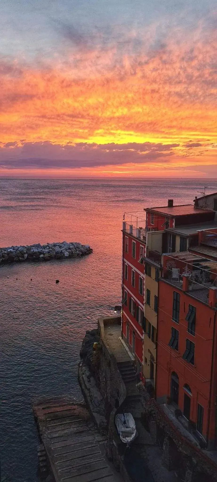 Pepita di Rio Pepita di Rio