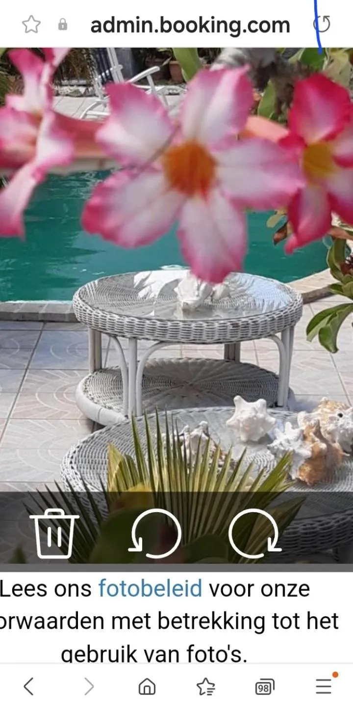 Garden in YOUR FIRST DAY Hotel on Aruba