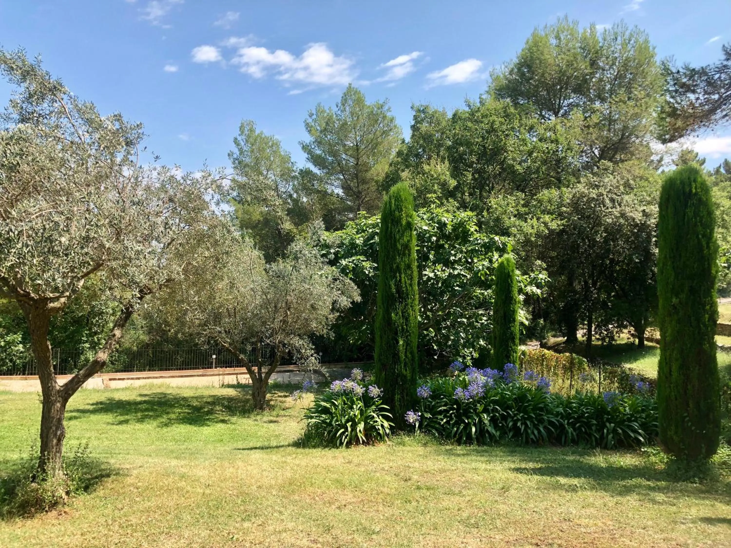 Garden view in B&B Villa Ganesh