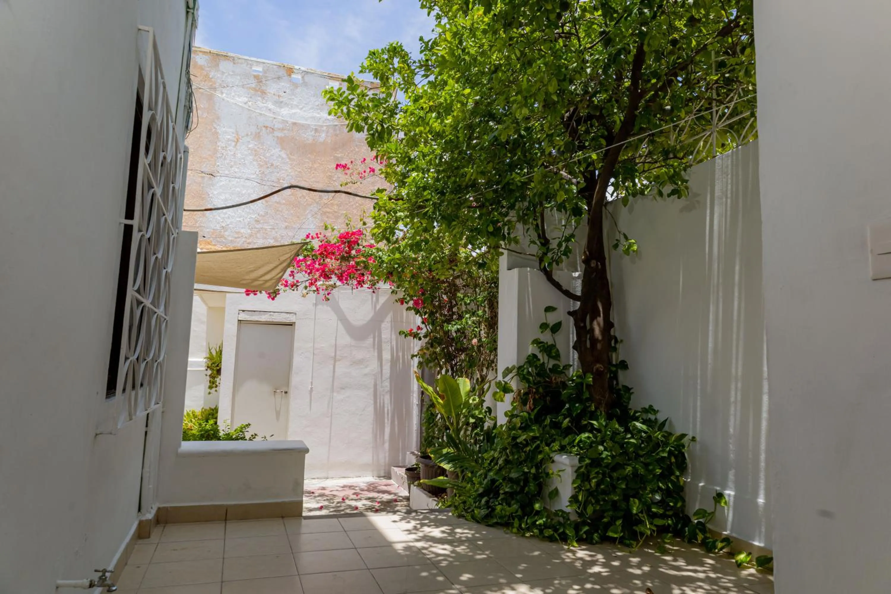 Patio in Hotel Las Palmas Cancun Centro