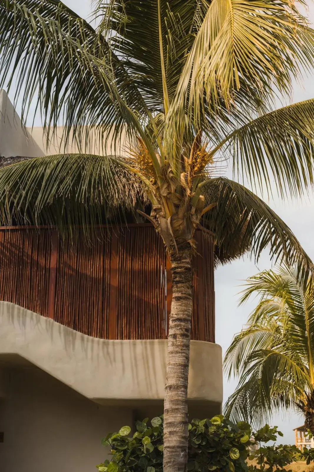 Apartment - Ground Floor in El Origen Villas & Spa-Puerto Escondido Apartment - Ground Floor in El Origen Villas & Spa-Puerto Escondido