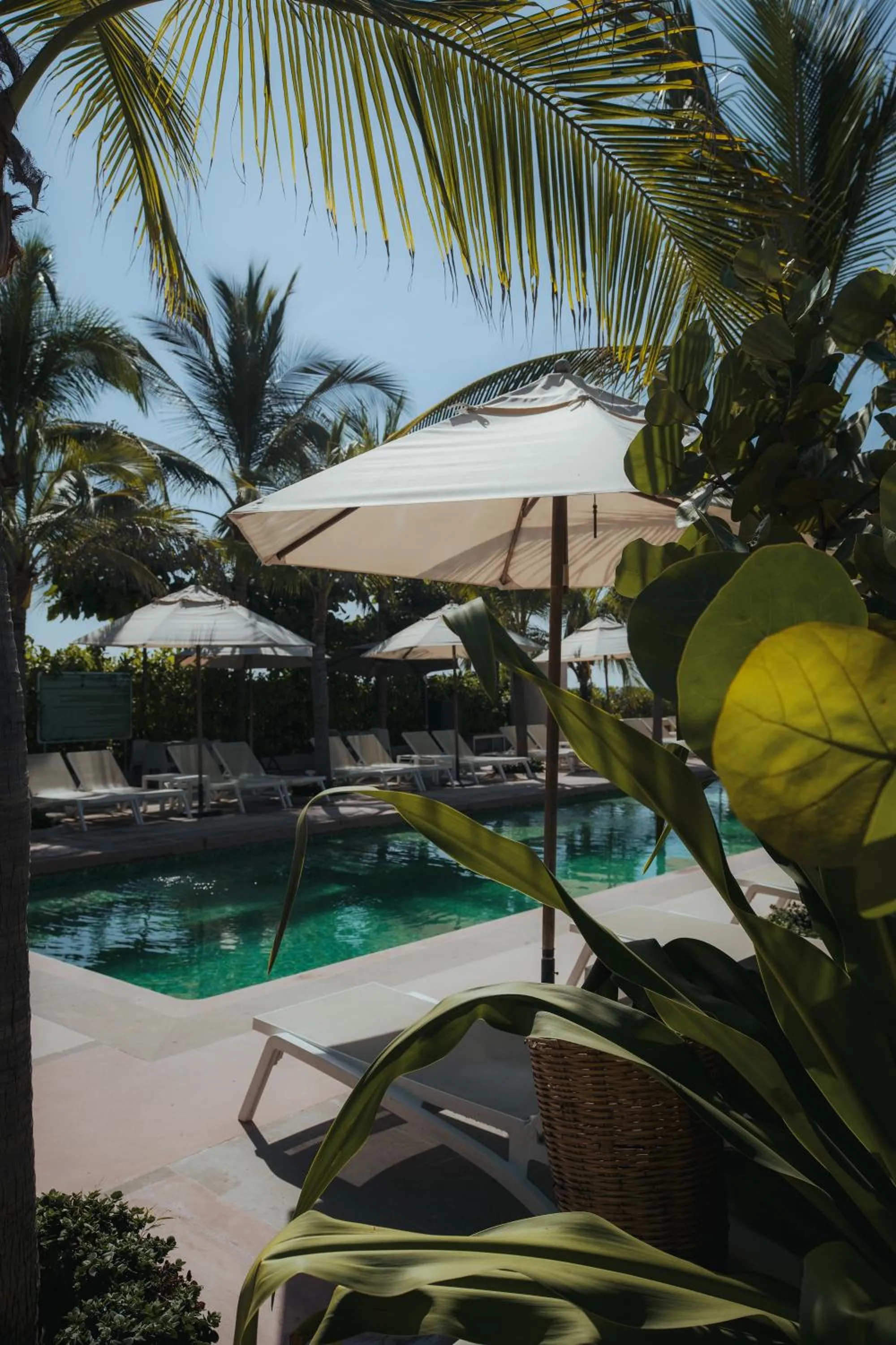 Restaurant/places to eat in El Origen Villas & Spa-Puerto Escondido