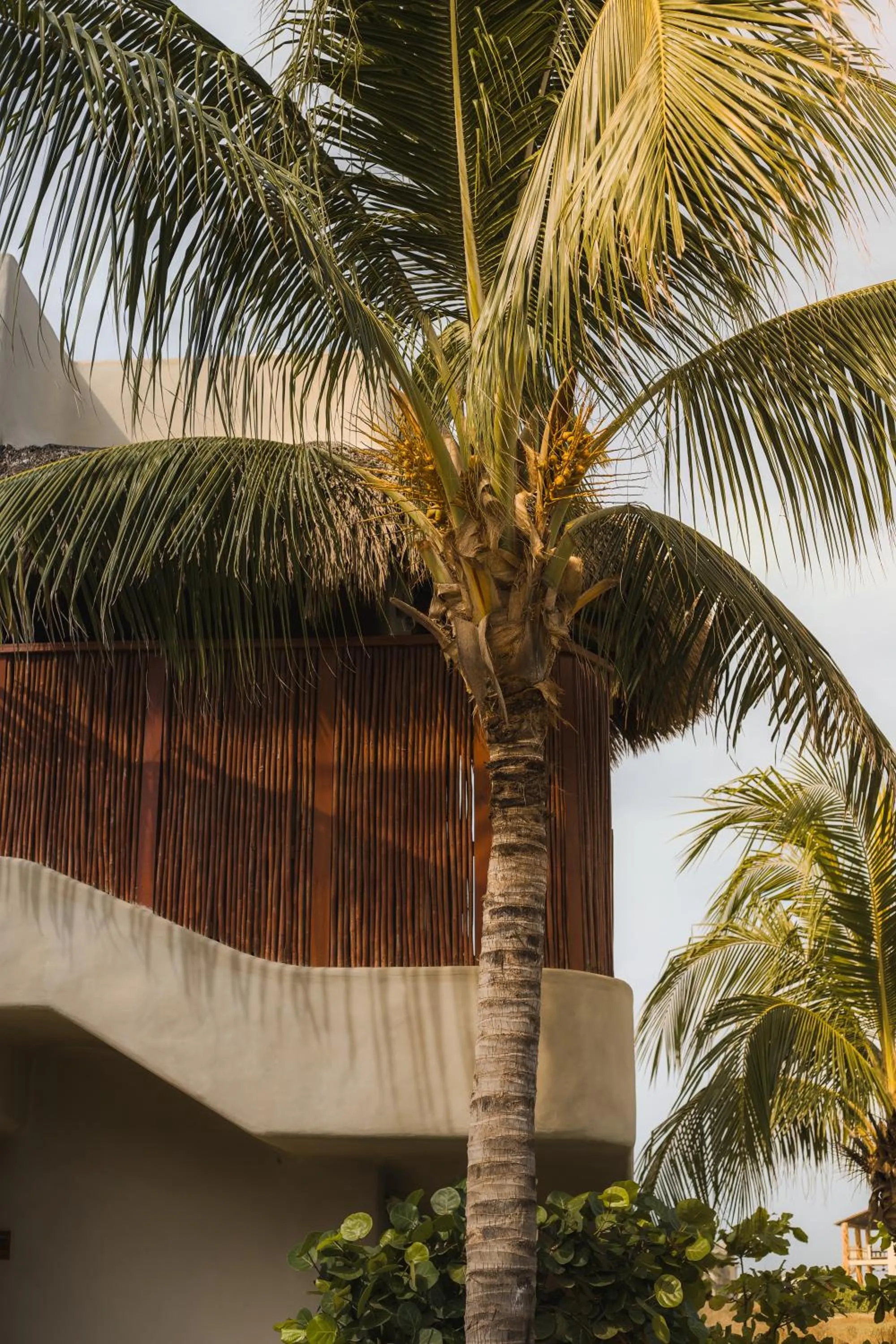 Property building in El Origen Villas & Spa-Puerto Escondido