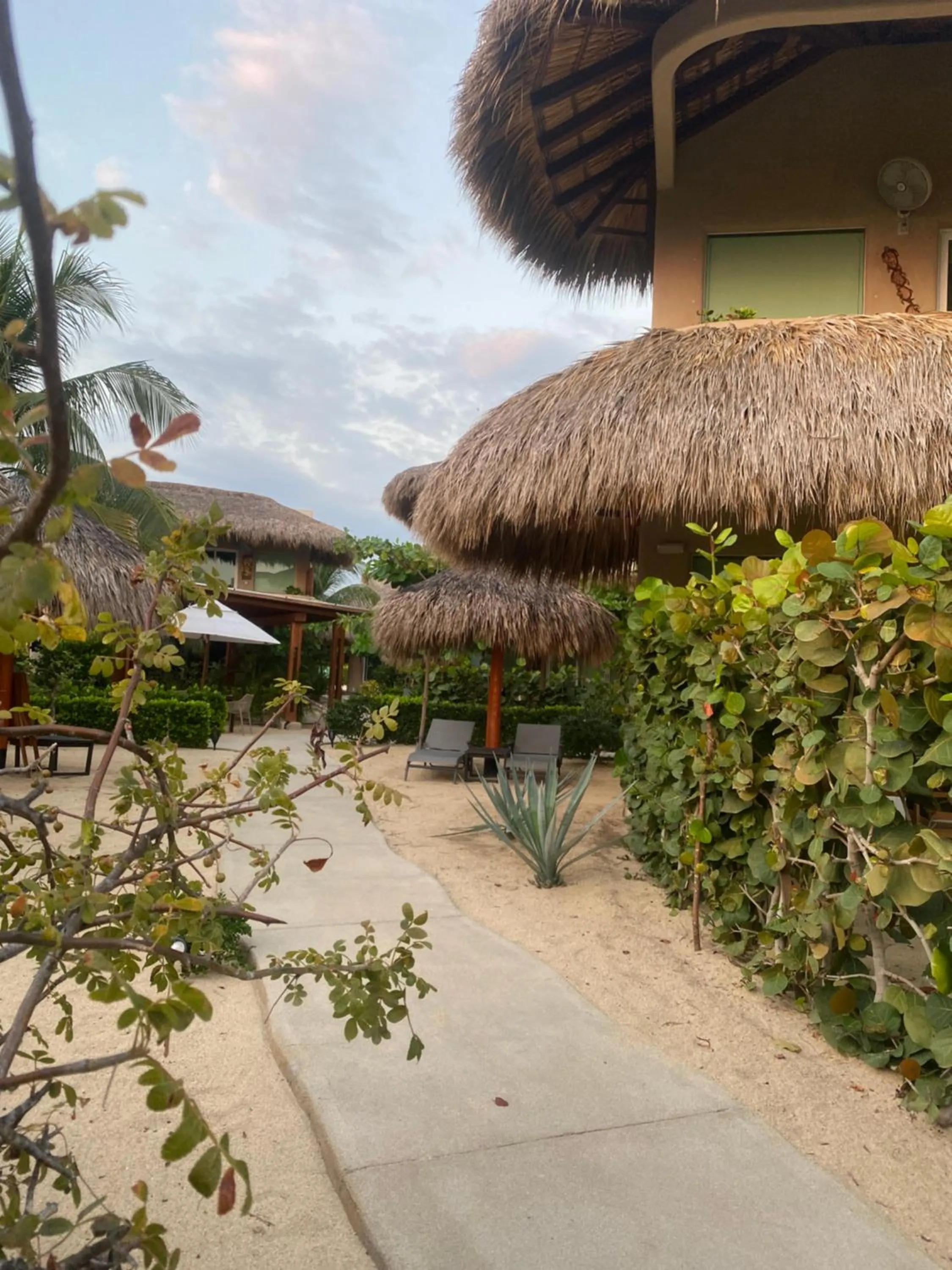 Natural landscape in El Origen Villas & Spa-Puerto Escondido