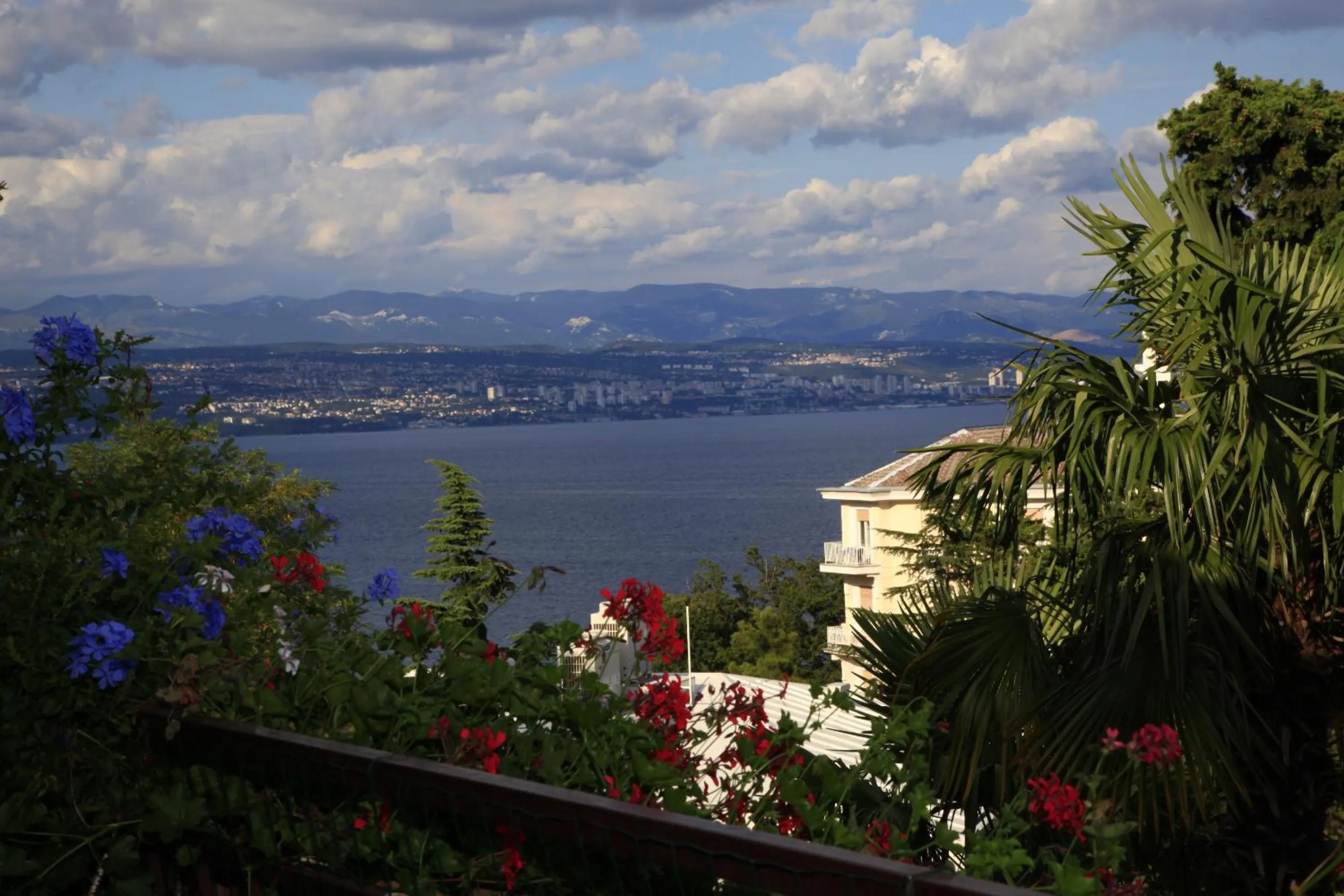 Area and facilities in Guesthouse Villa Stanger