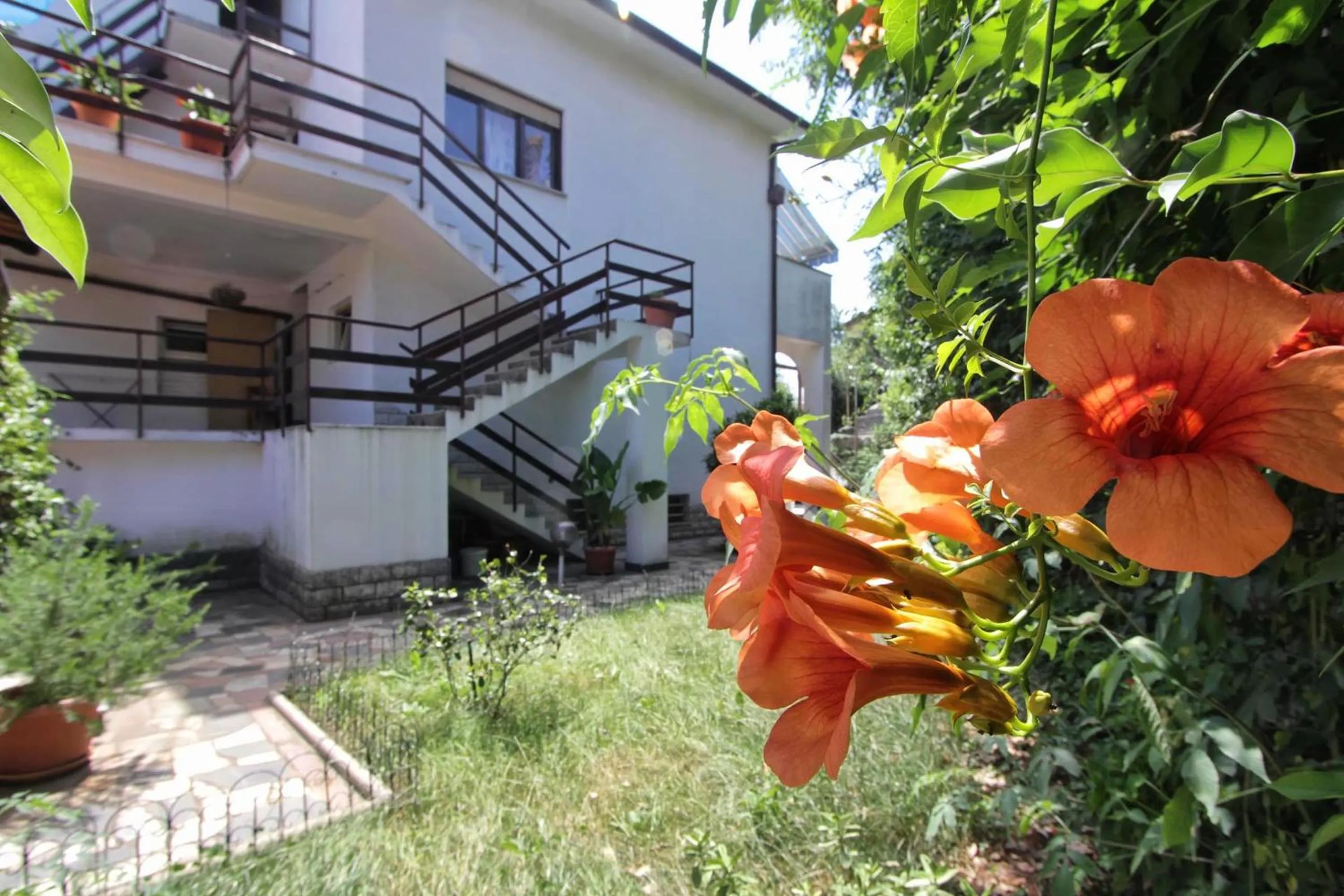 Garden in Guesthouse Villa Stanger