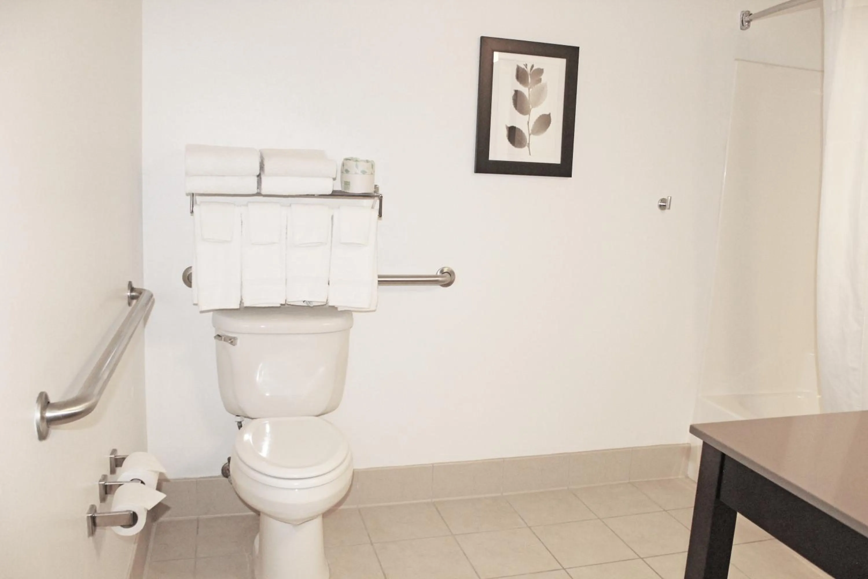 Toilet in Country Inn & Suites by Radisson, Marinette, WI