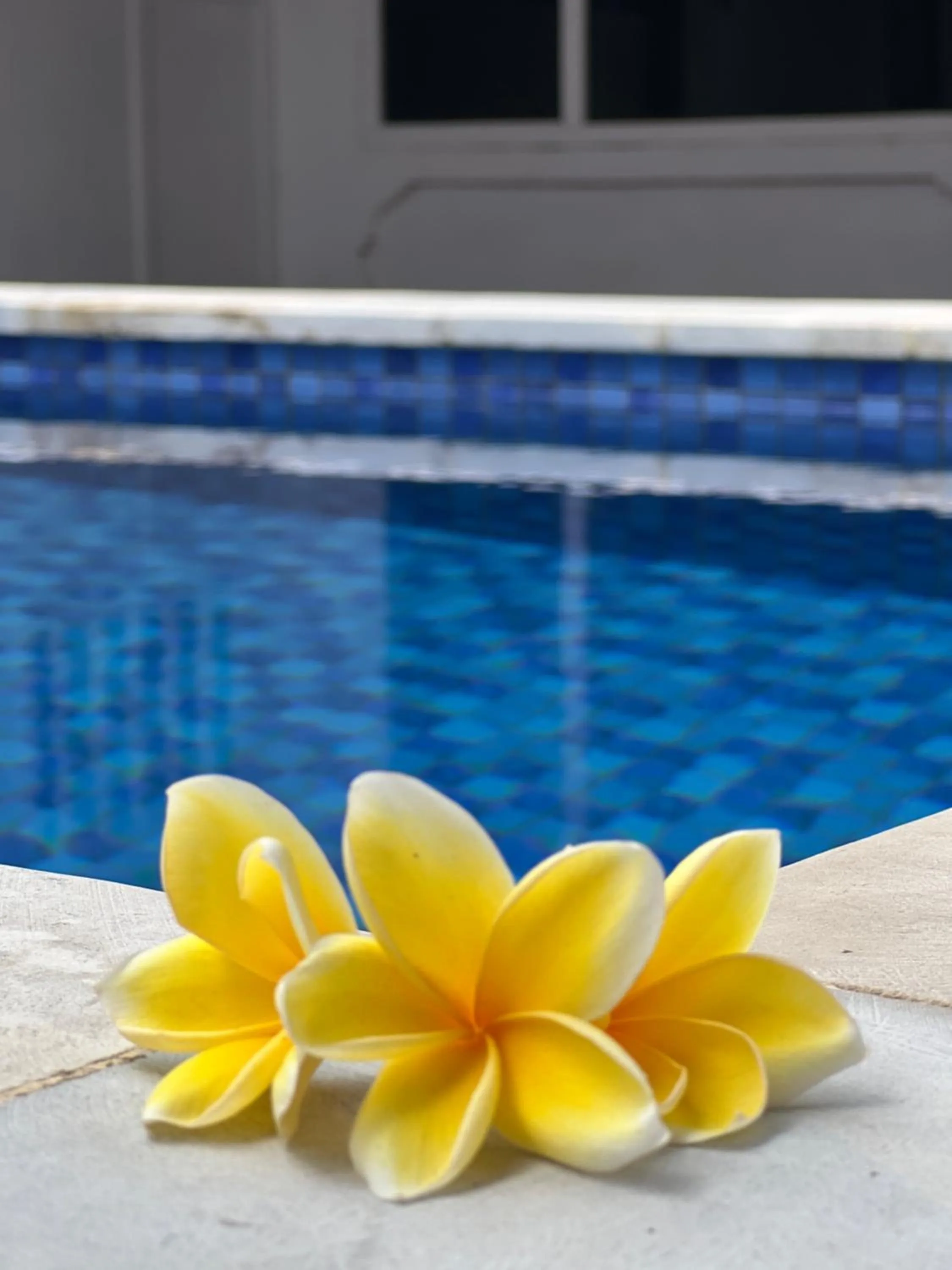 Swimming pool in Seaside Hotel