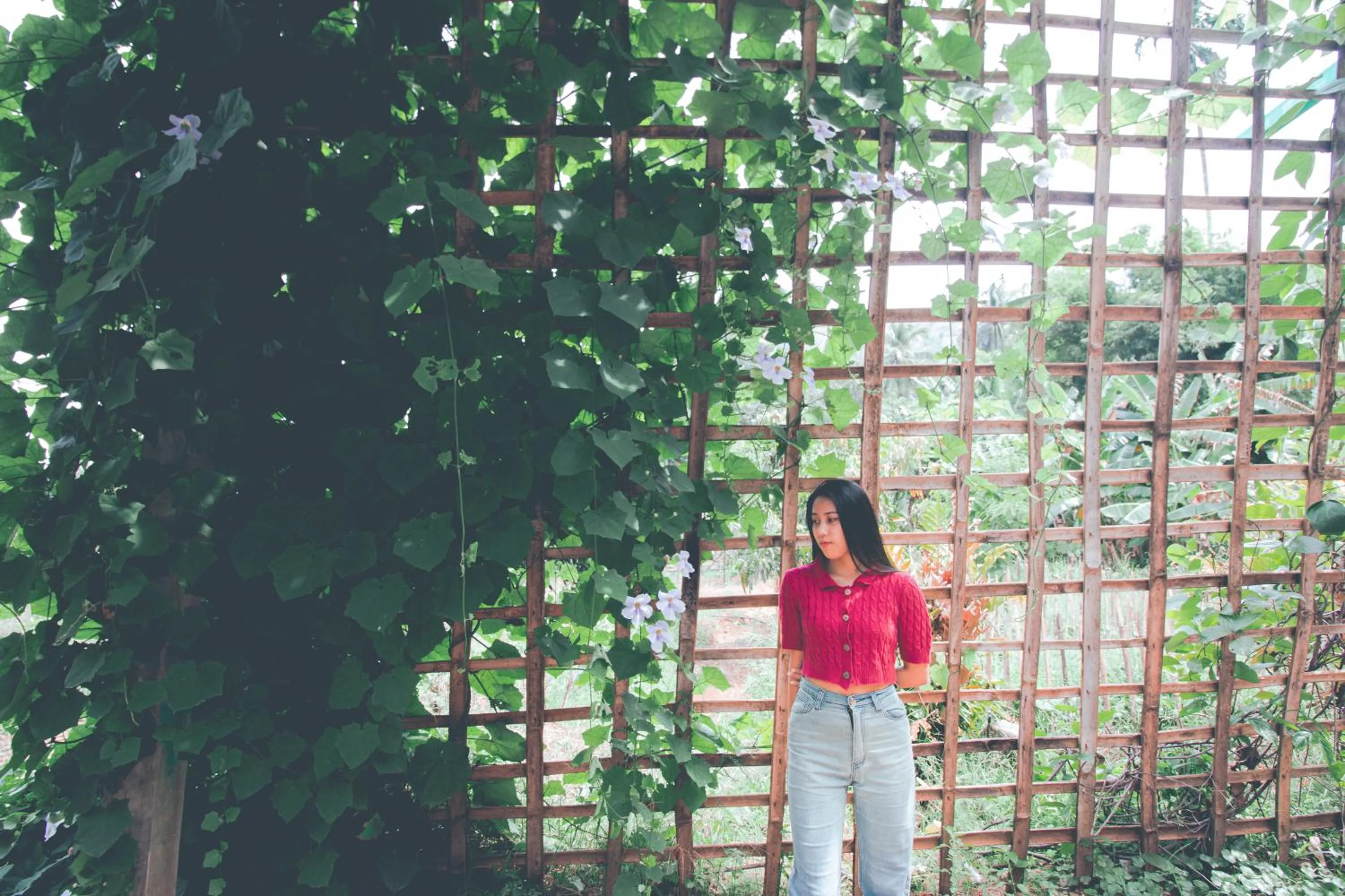 Spring in Victoria Cliff Hotel & Resort, Kawthaung