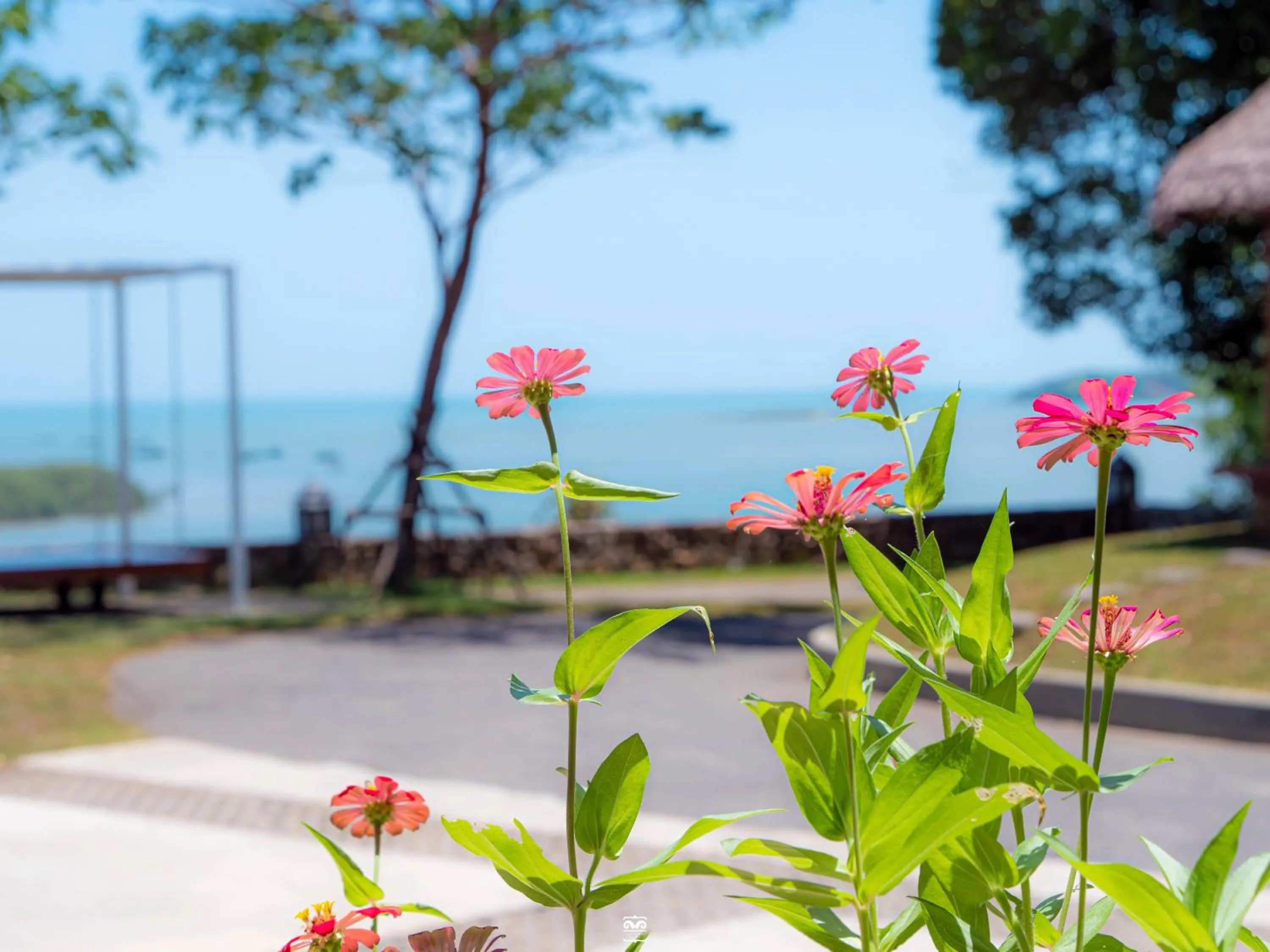 Spring in Victoria Cliff Hotel & Resort, Kawthaung