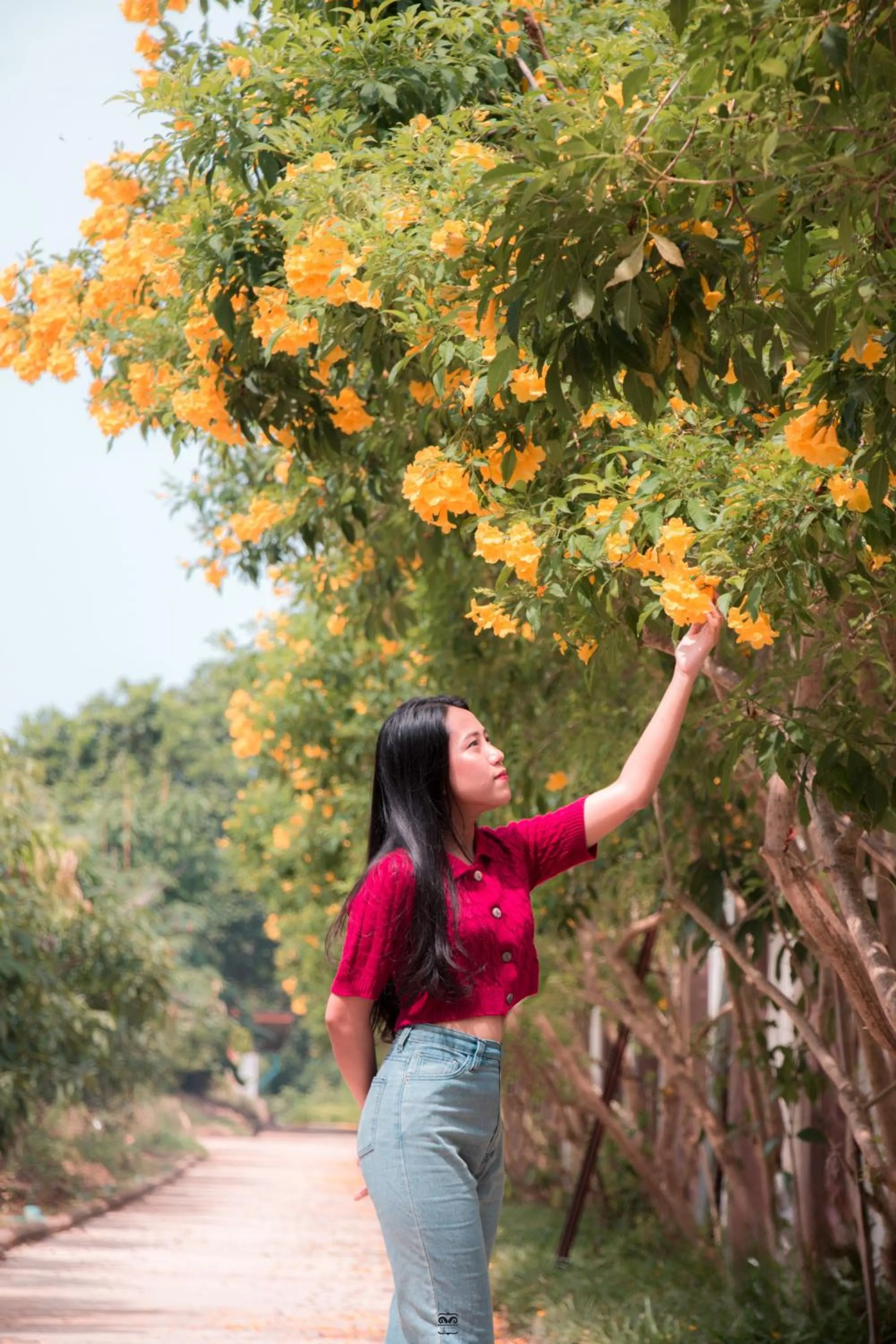 Spring in Victoria Cliff Hotel & Resort, Kawthaung