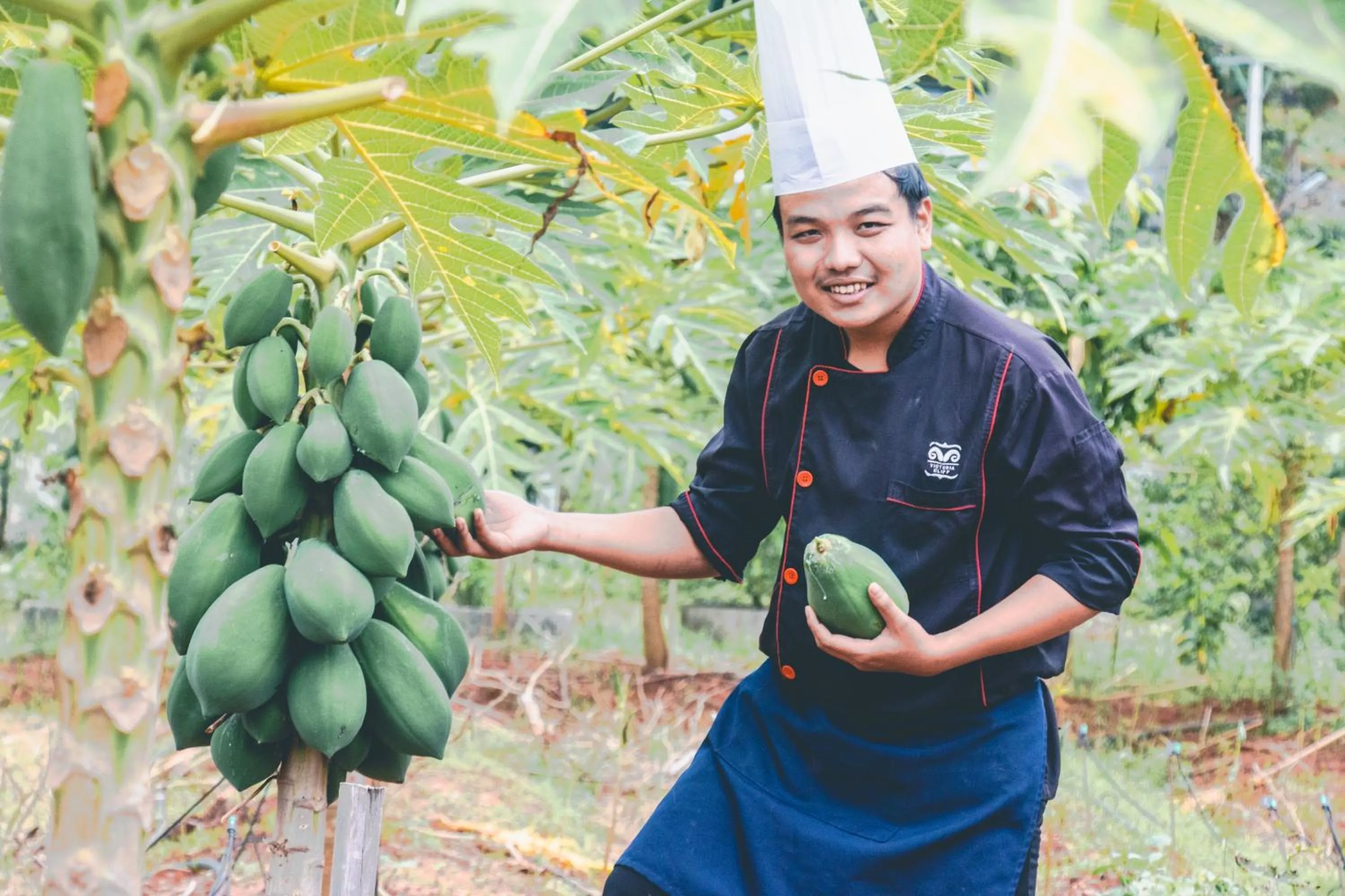 Day in Victoria Cliff Hotel & Resort, Kawthaung