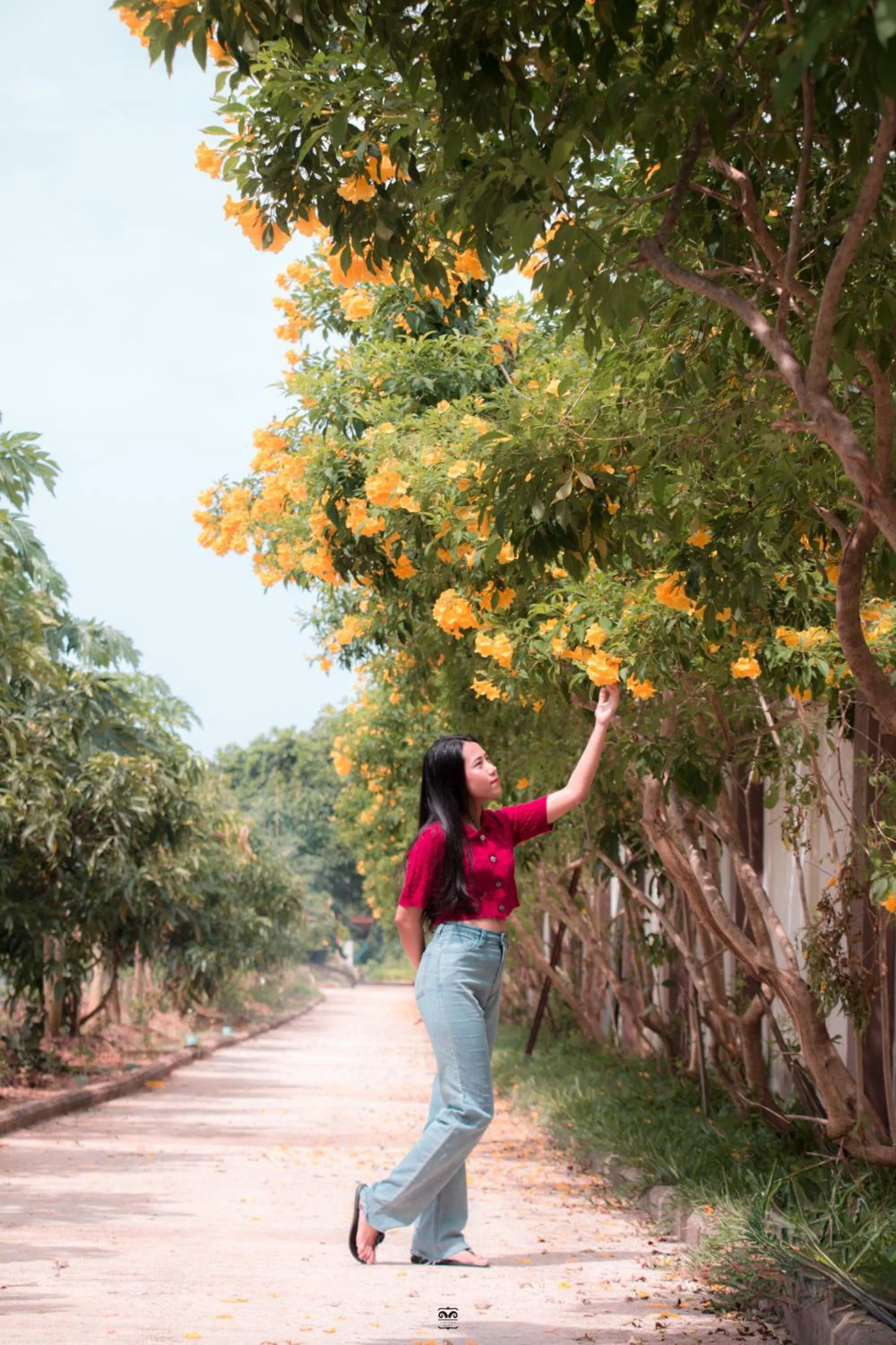 Spring in Victoria Cliff Hotel & Resort, Kawthaung