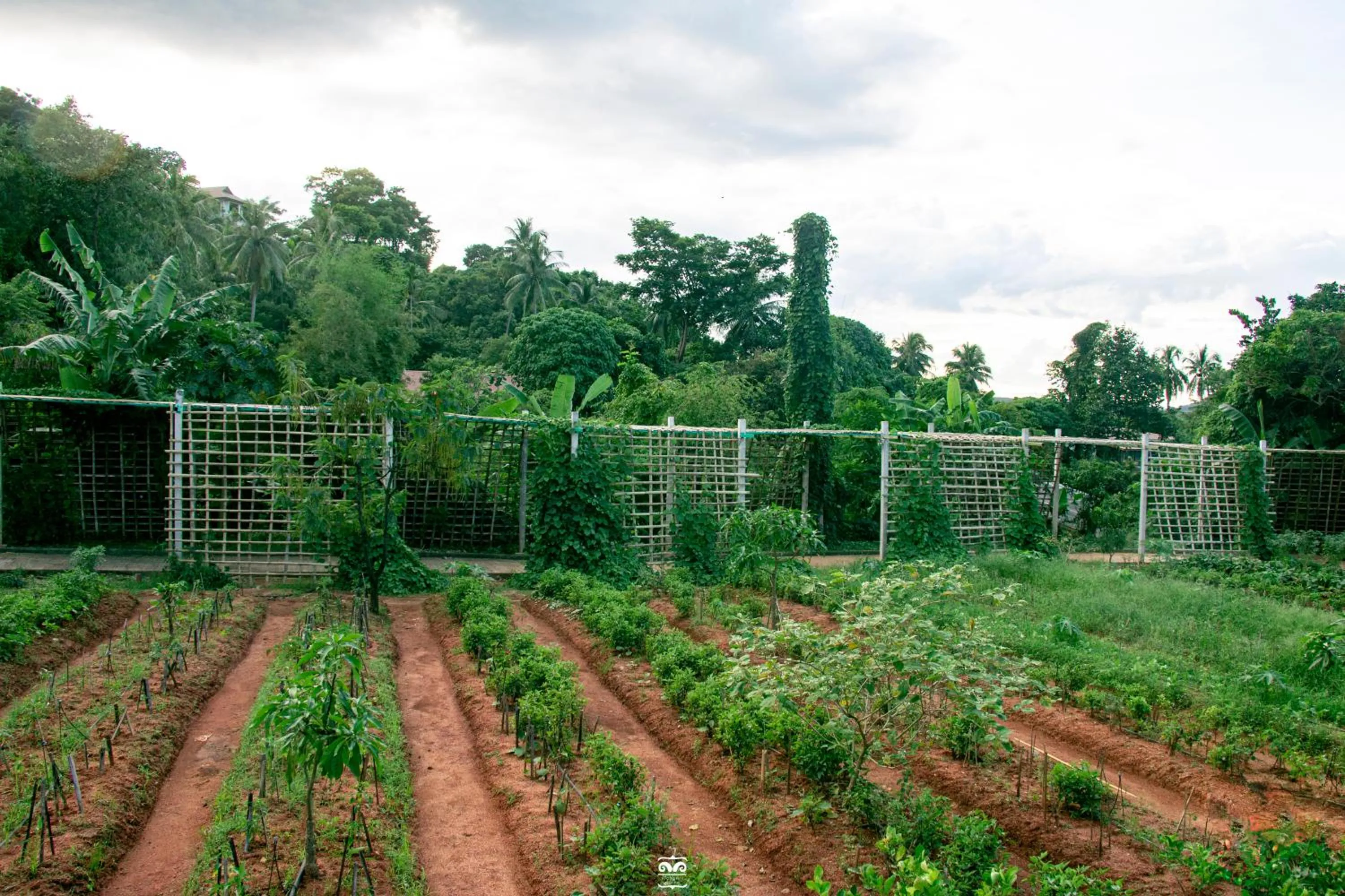 Day in Victoria Cliff Hotel & Resort, Kawthaung