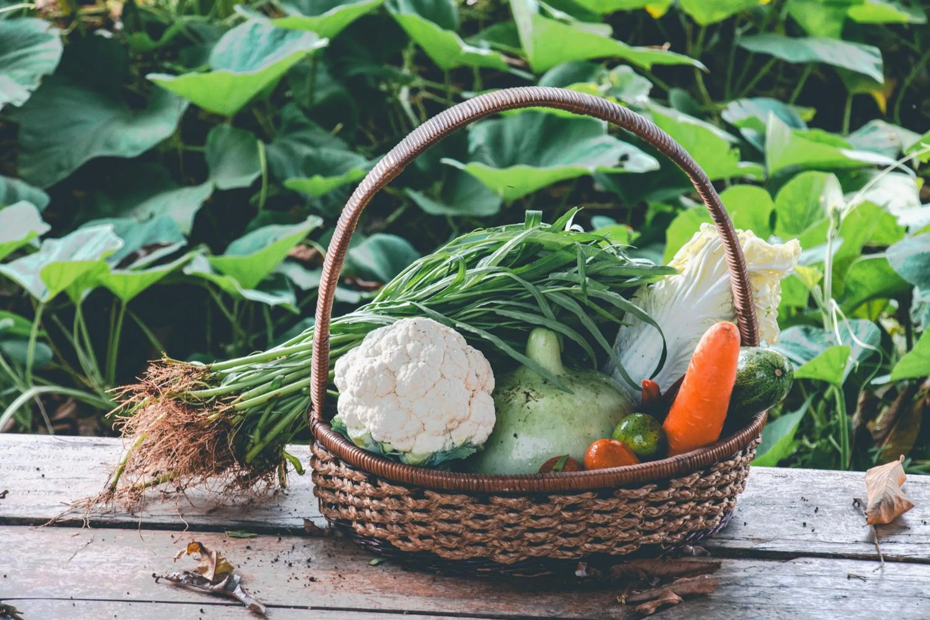 Spring in Victoria Cliff Hotel & Resort, Kawthaung