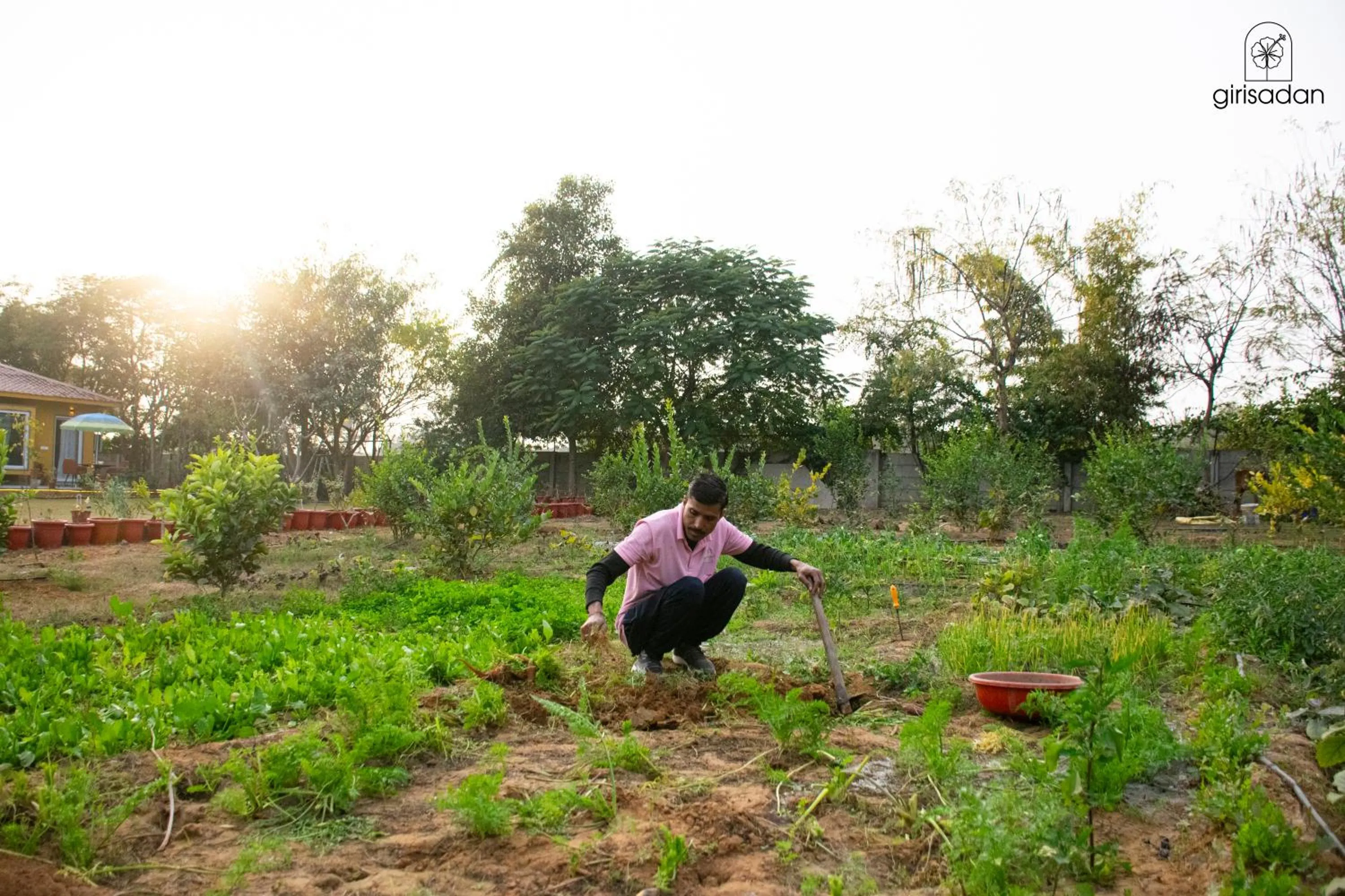 Garden in GiriSadan Organic Retreat & Experiences
