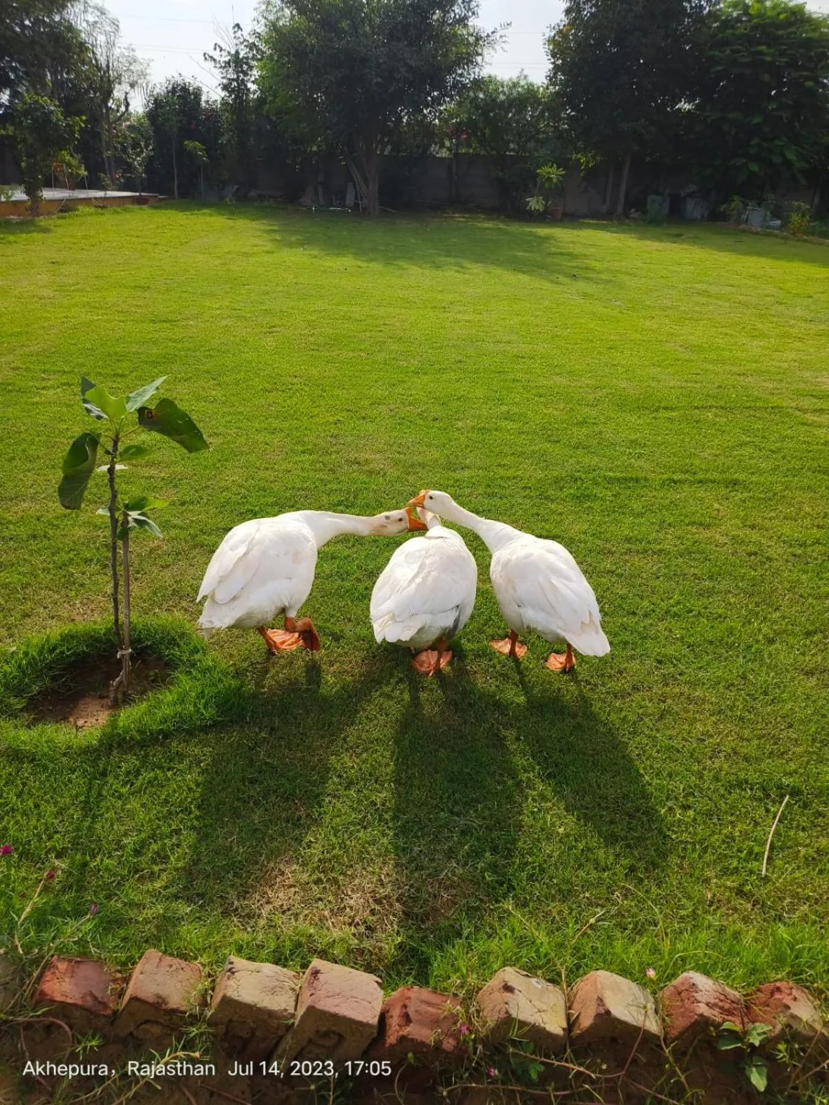 Day in GiriSadan Organic Retreat & Experiences