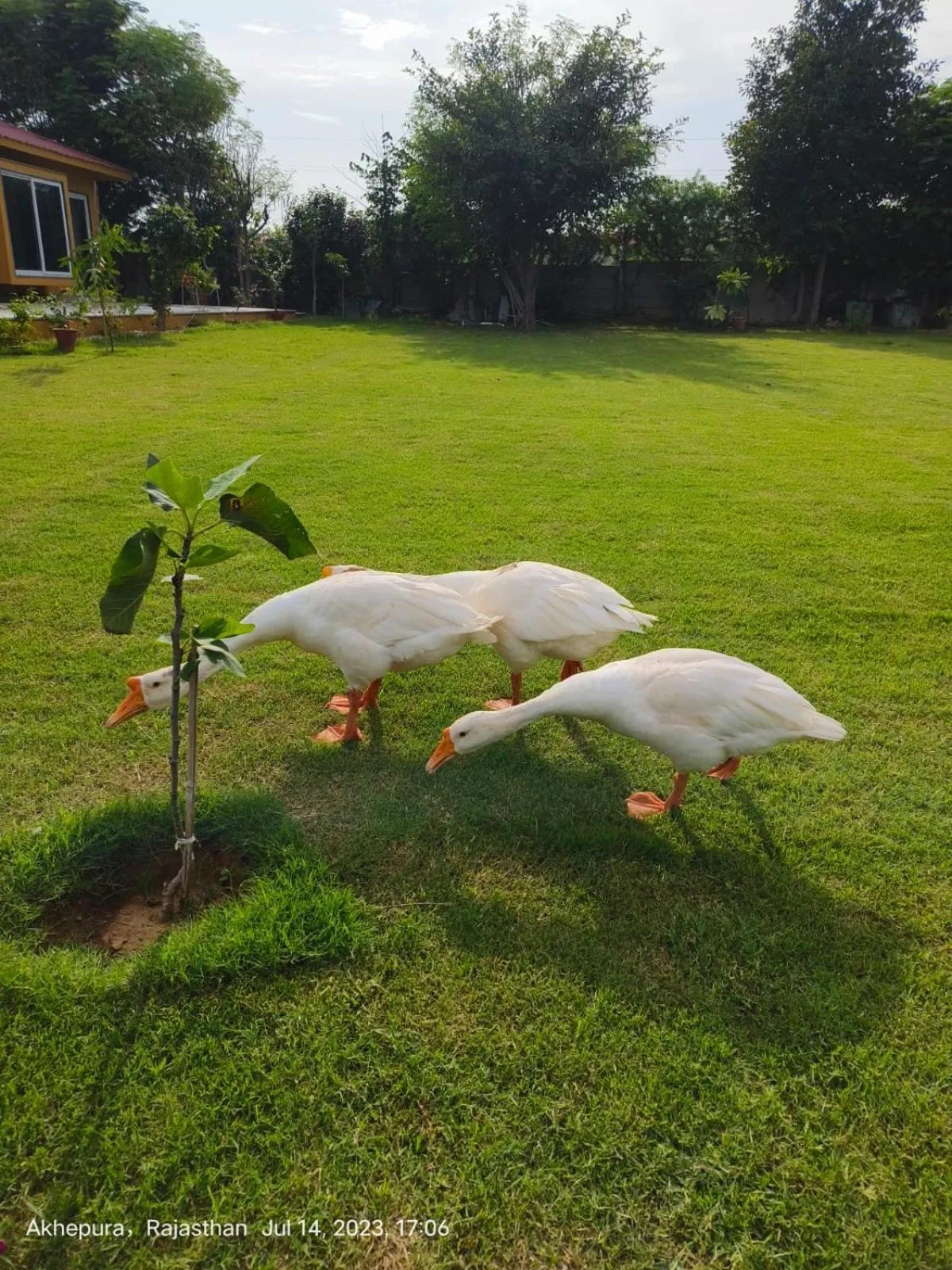 Spring in GiriSadan Organic Retreat & Experiences