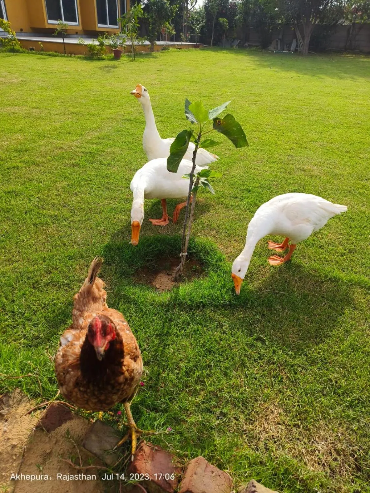 Day in GiriSadan Organic Retreat & Experiences