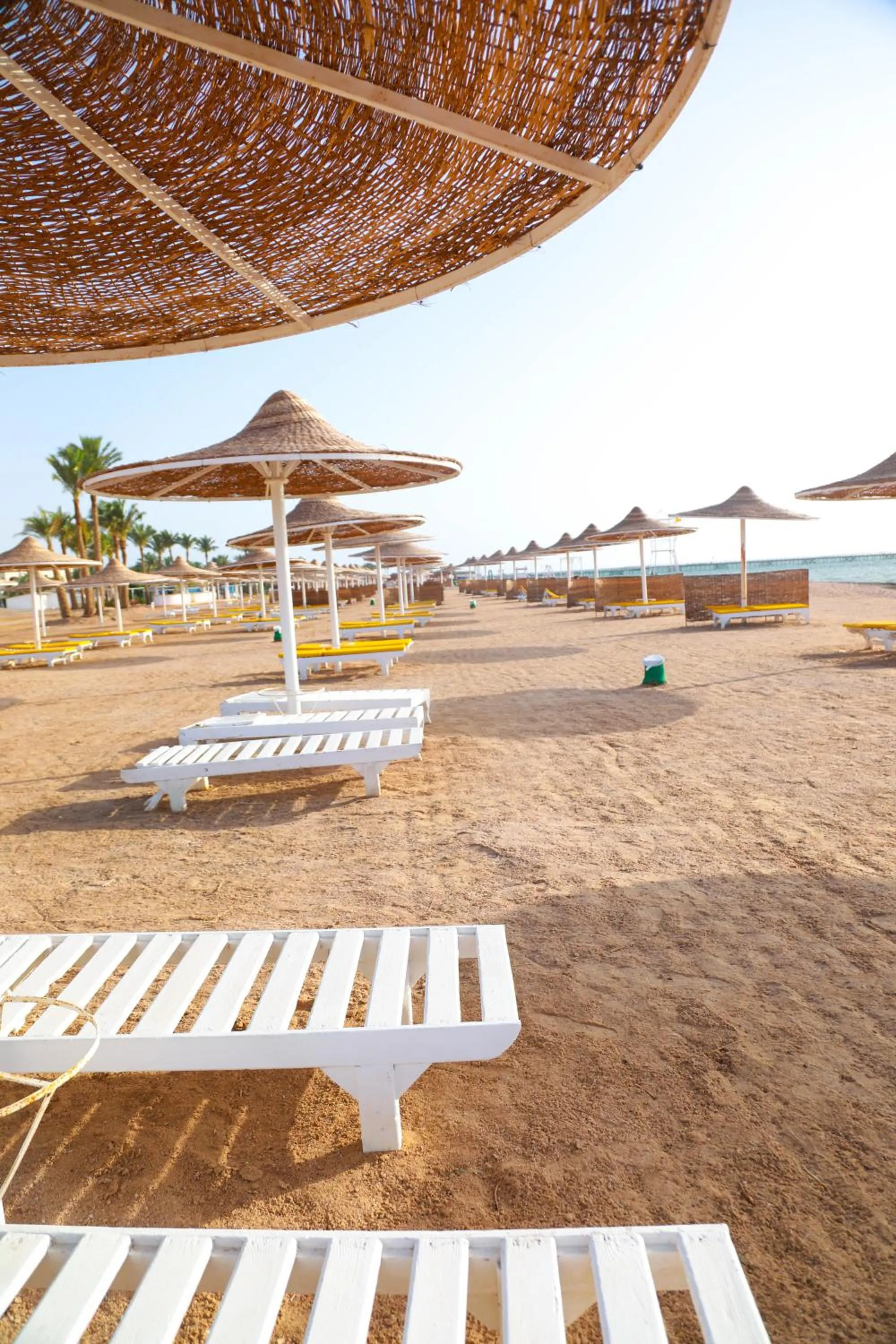 Beach in Amarina Sun Resort & Aqua Park Sharm El-Sheikh