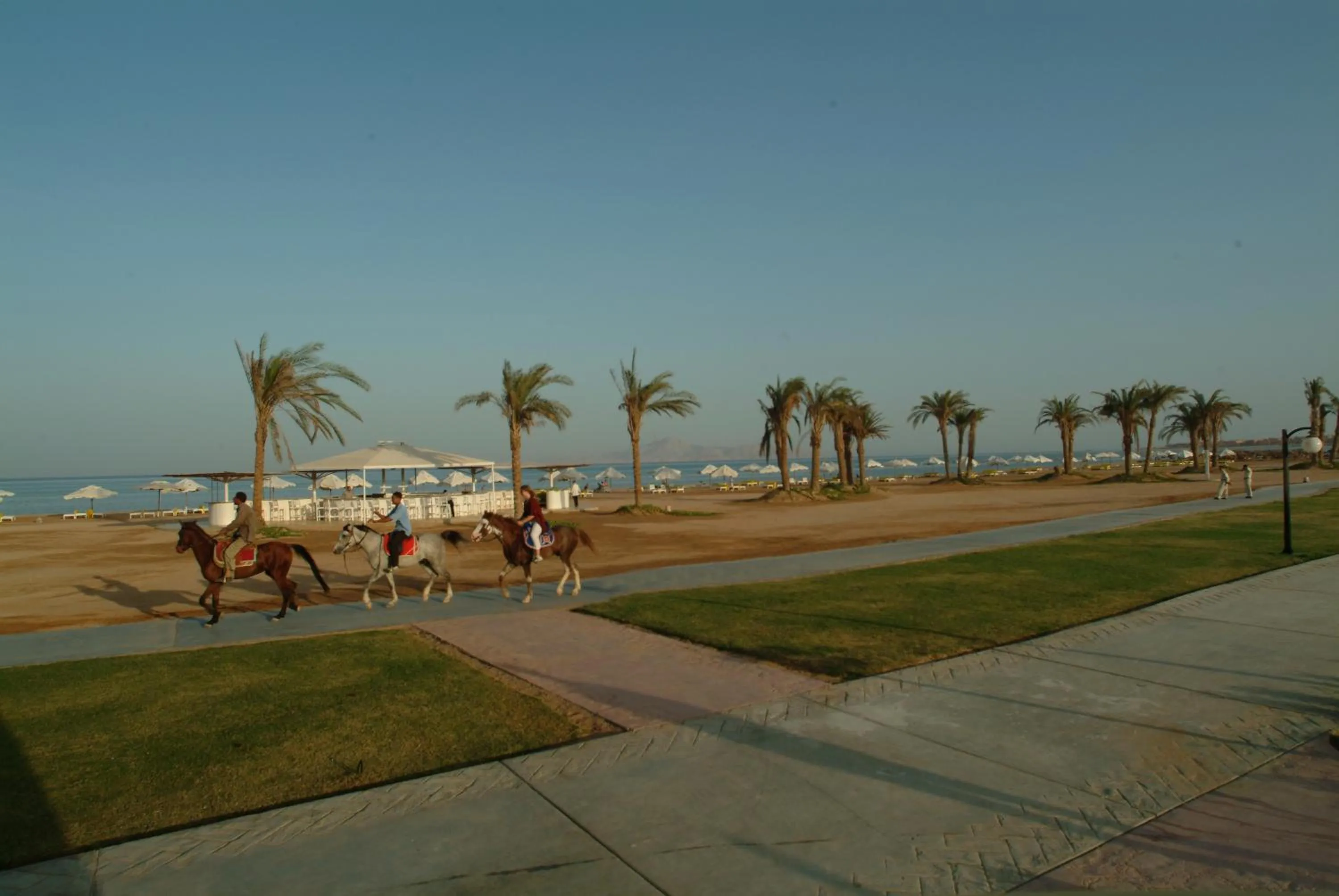 Beach in Amarina Sun Resort & Aqua Park Sharm El-Sheikh
