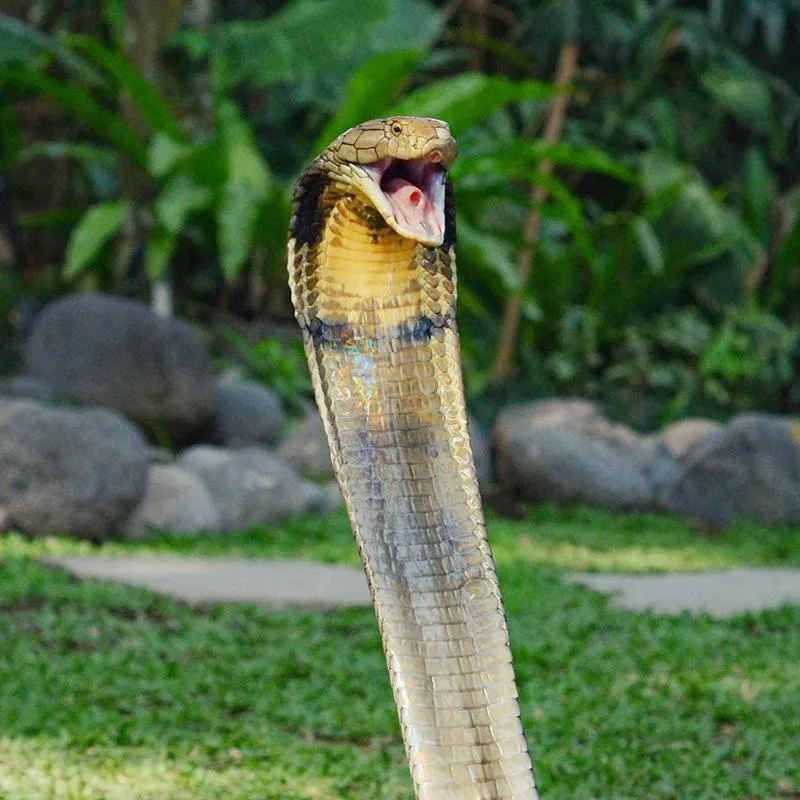 Keramas Moonlight Villa