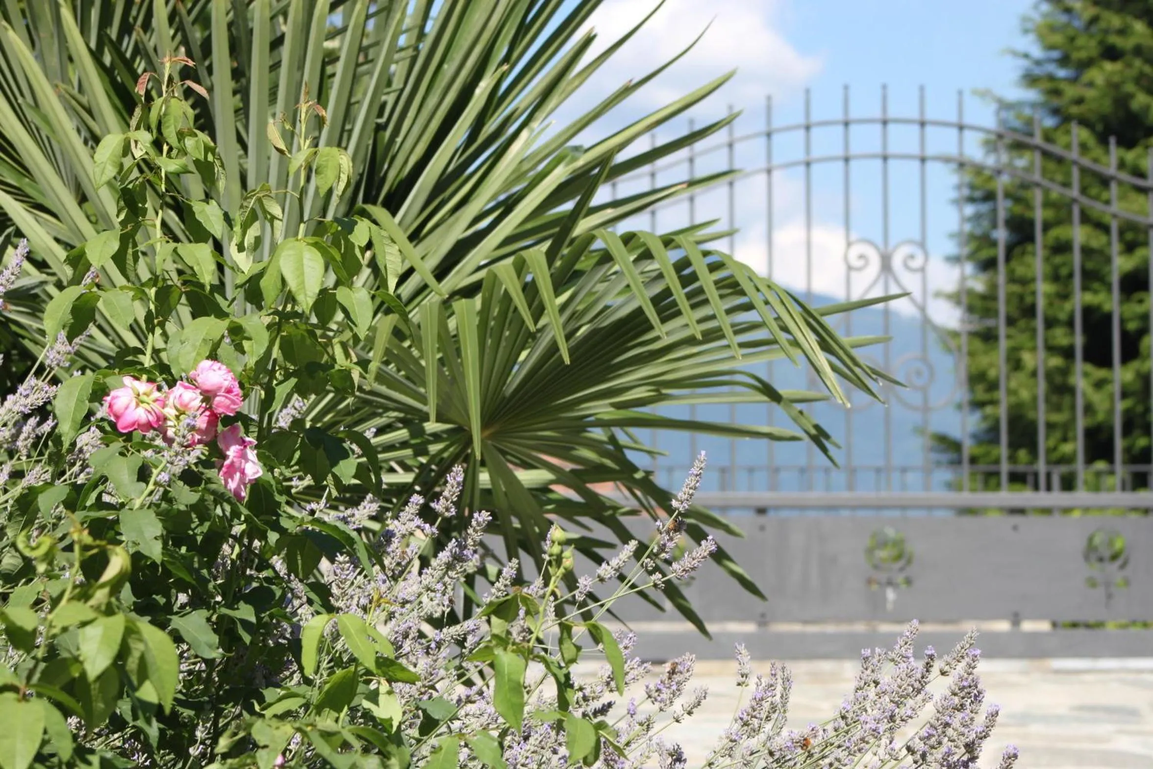 Day in Balcone Fiorito