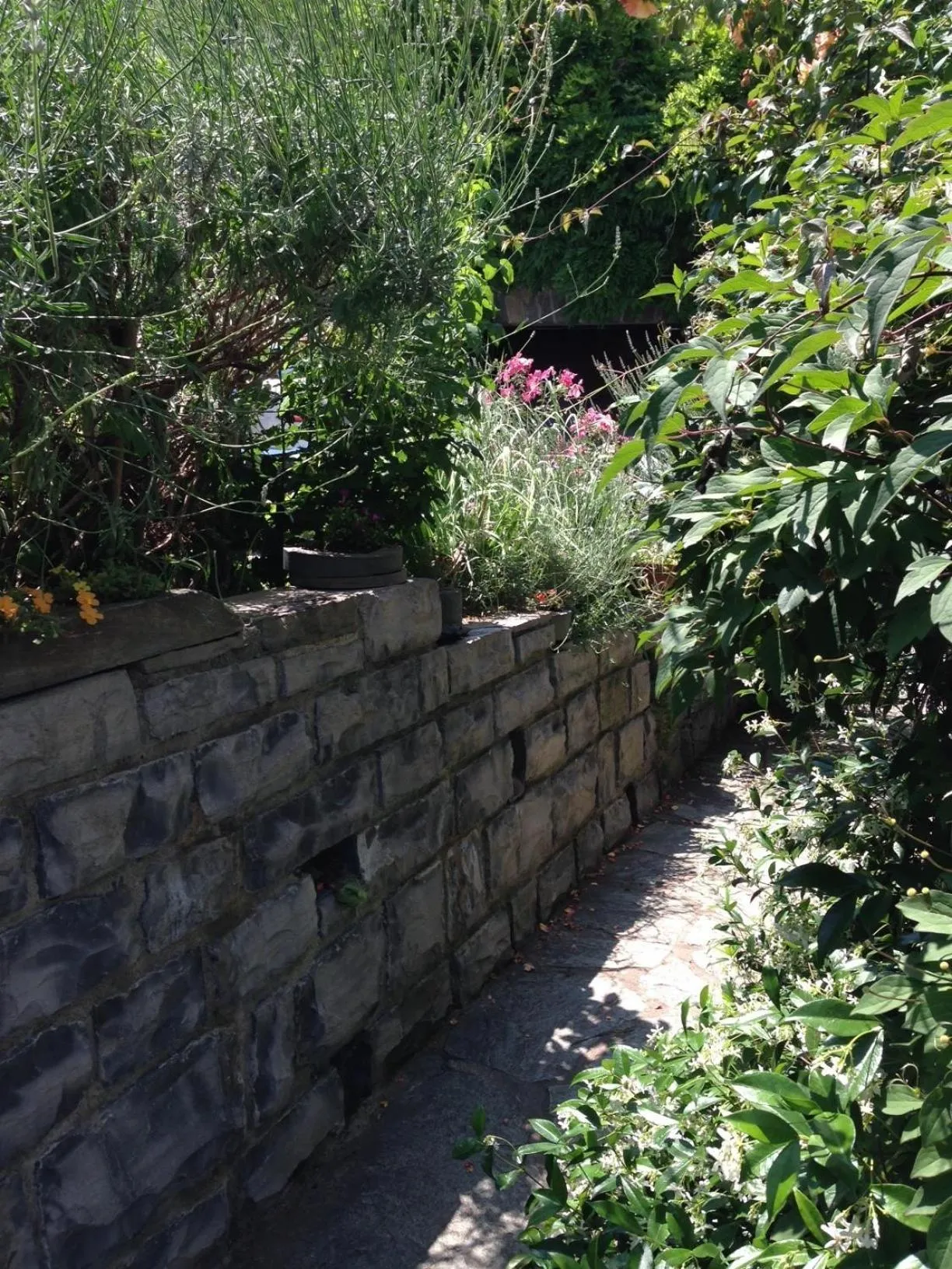 Day in Balcone Fiorito