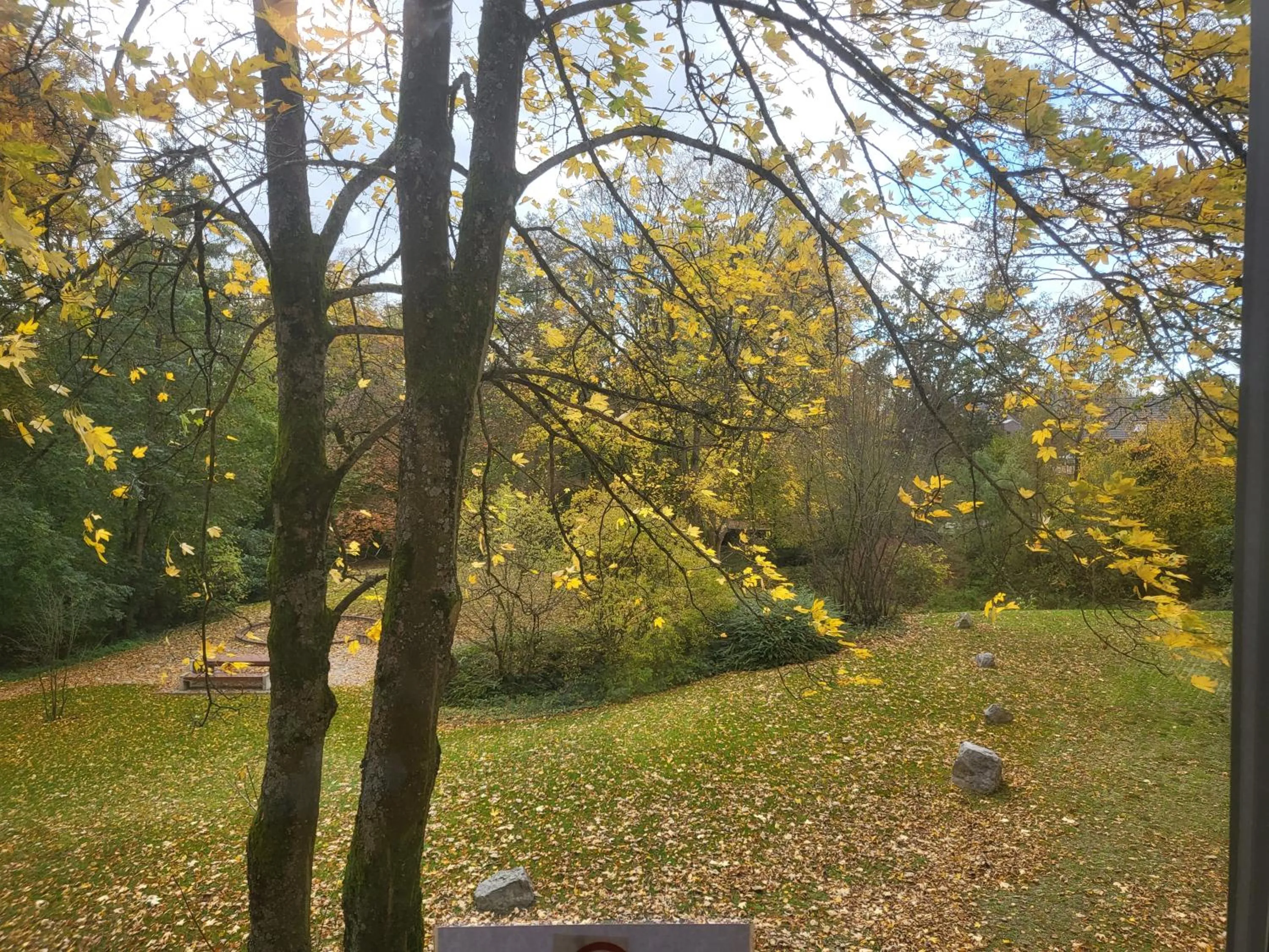 View (from property/room) in Hotel Mettmann