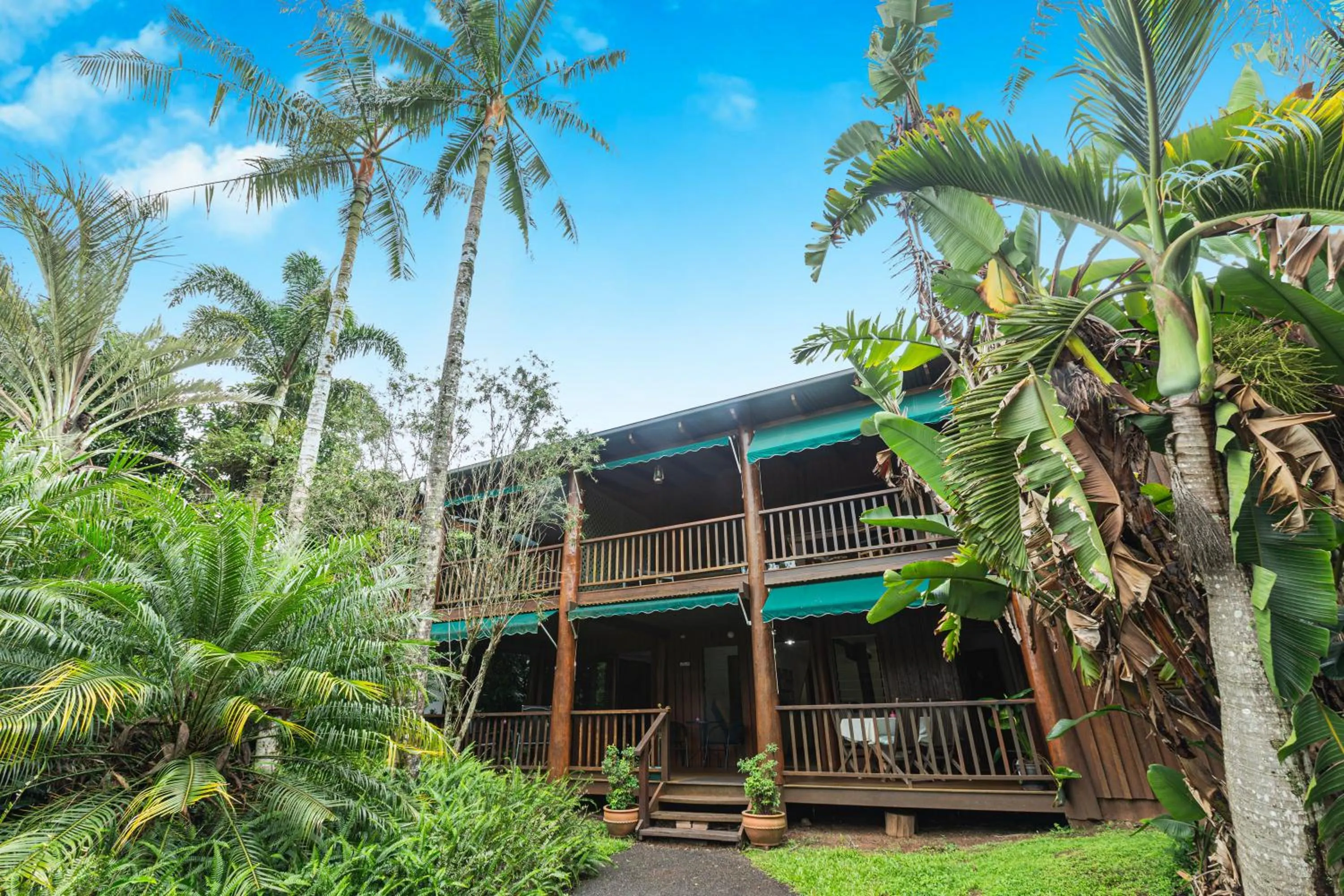 Property building in Atherton Blue Gum