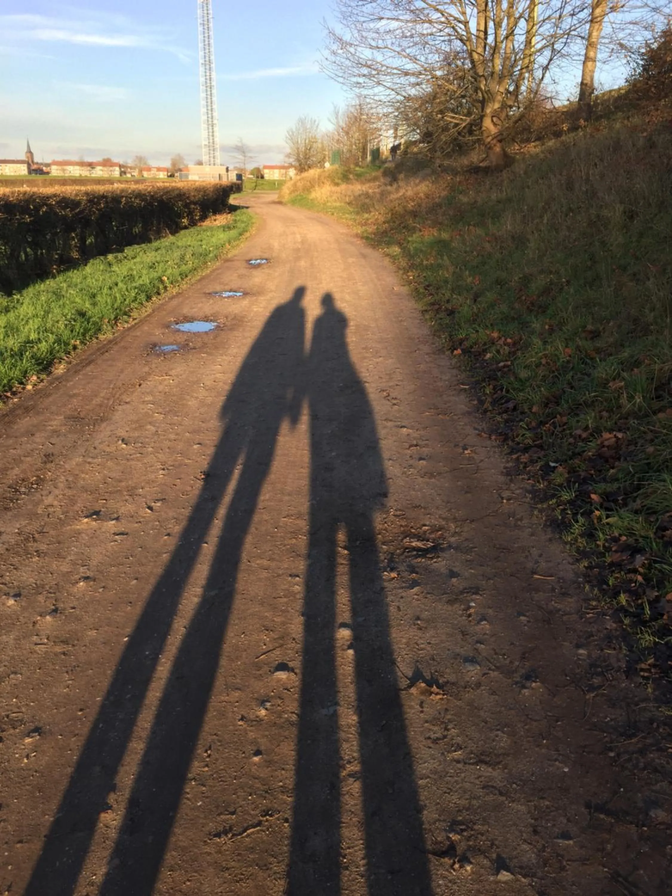 Nearby landmark in Hanzestadslogement "De Leeuw", logies in het centrum van Deventer