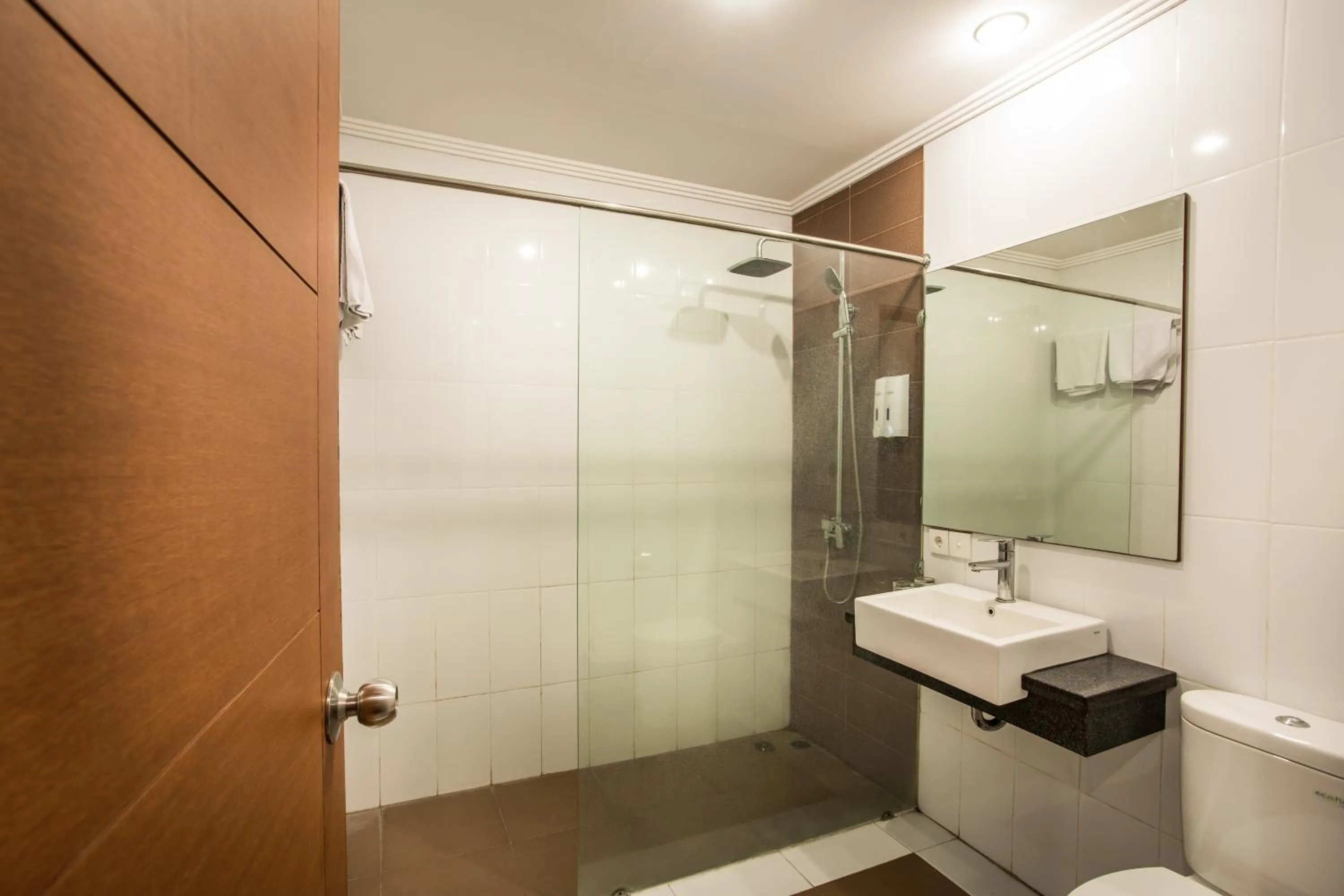 Shower in Svarna Hotel