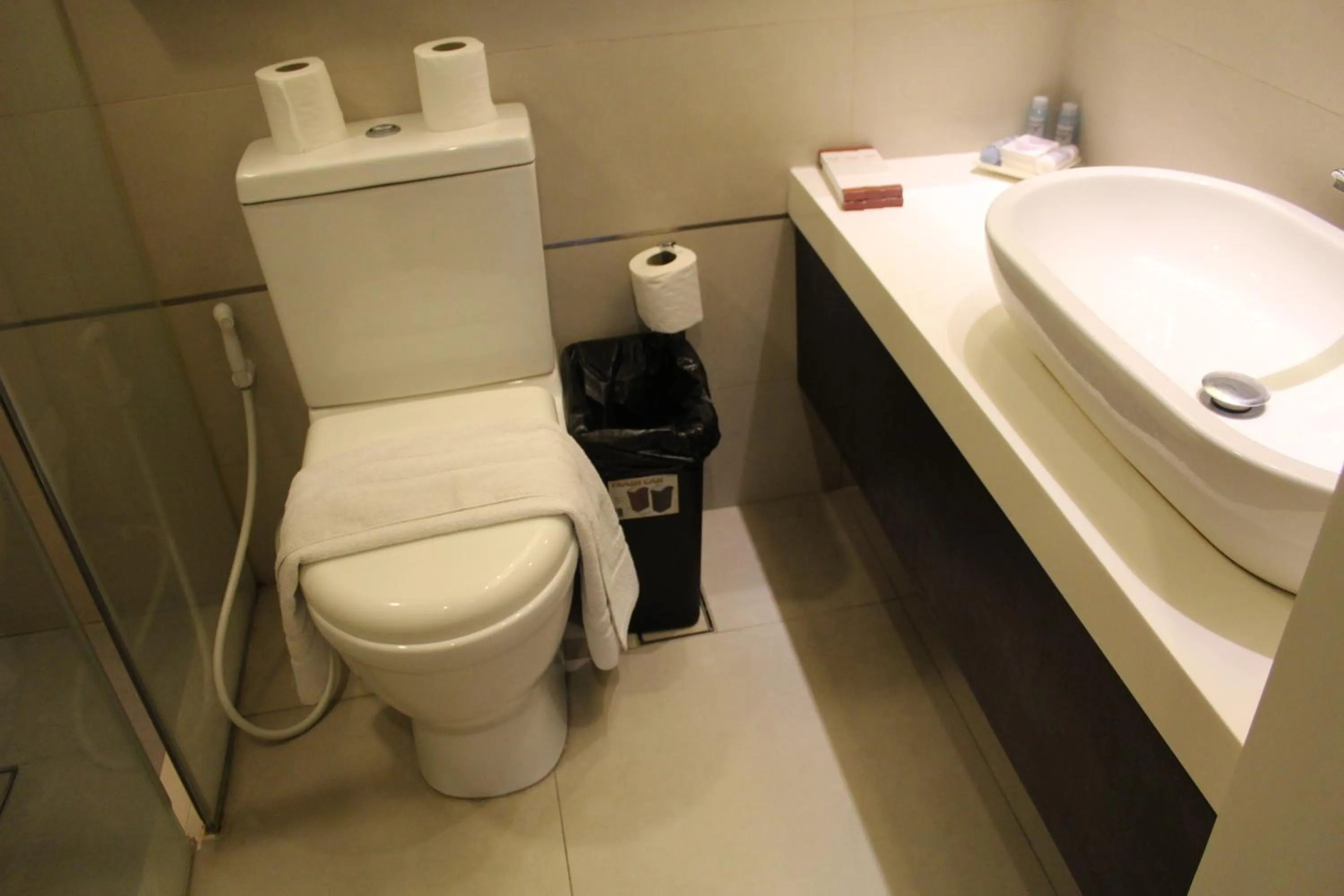 Toilet in Ciudad Fernandina Hotel