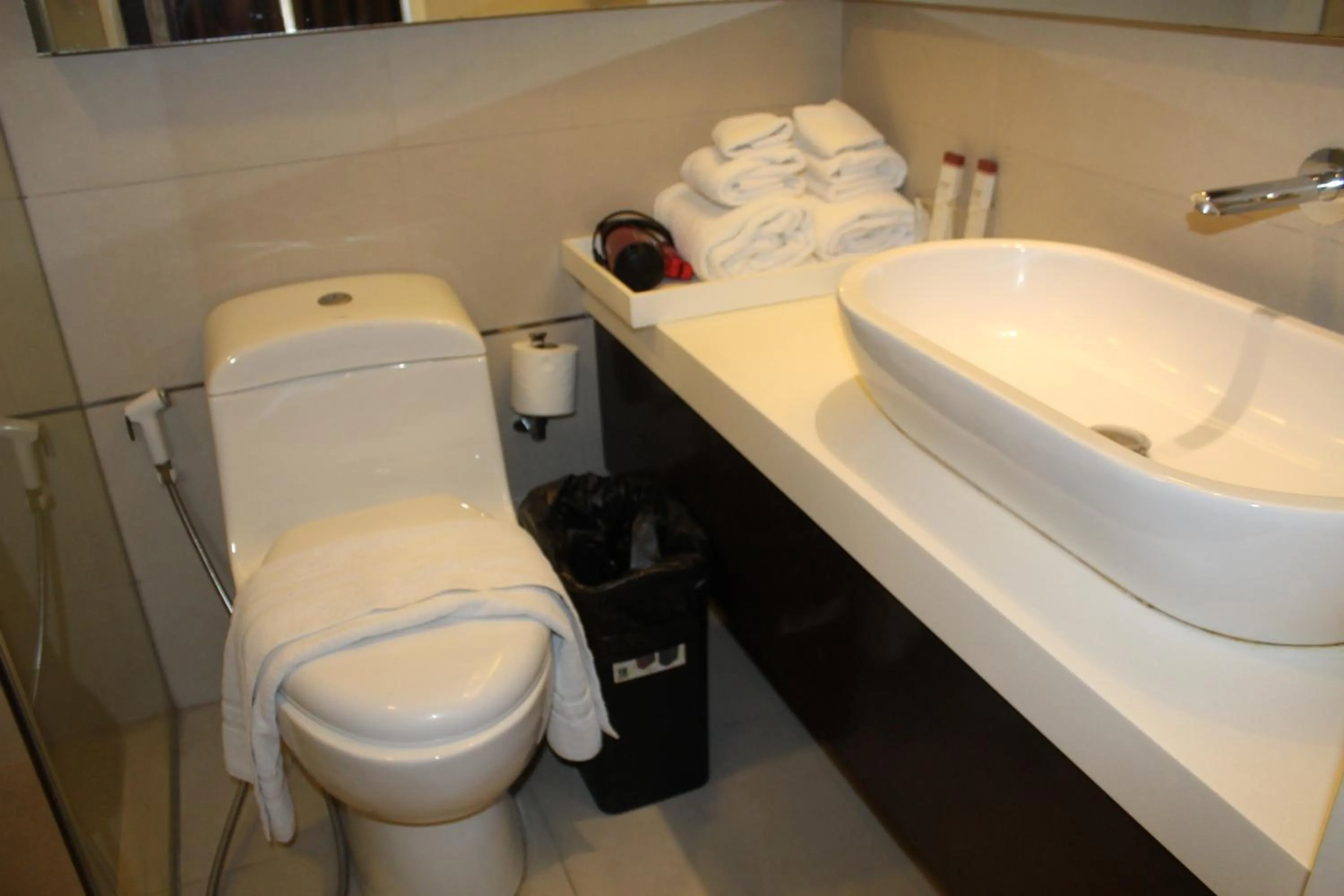 Toilet in Ciudad Fernandina Hotel