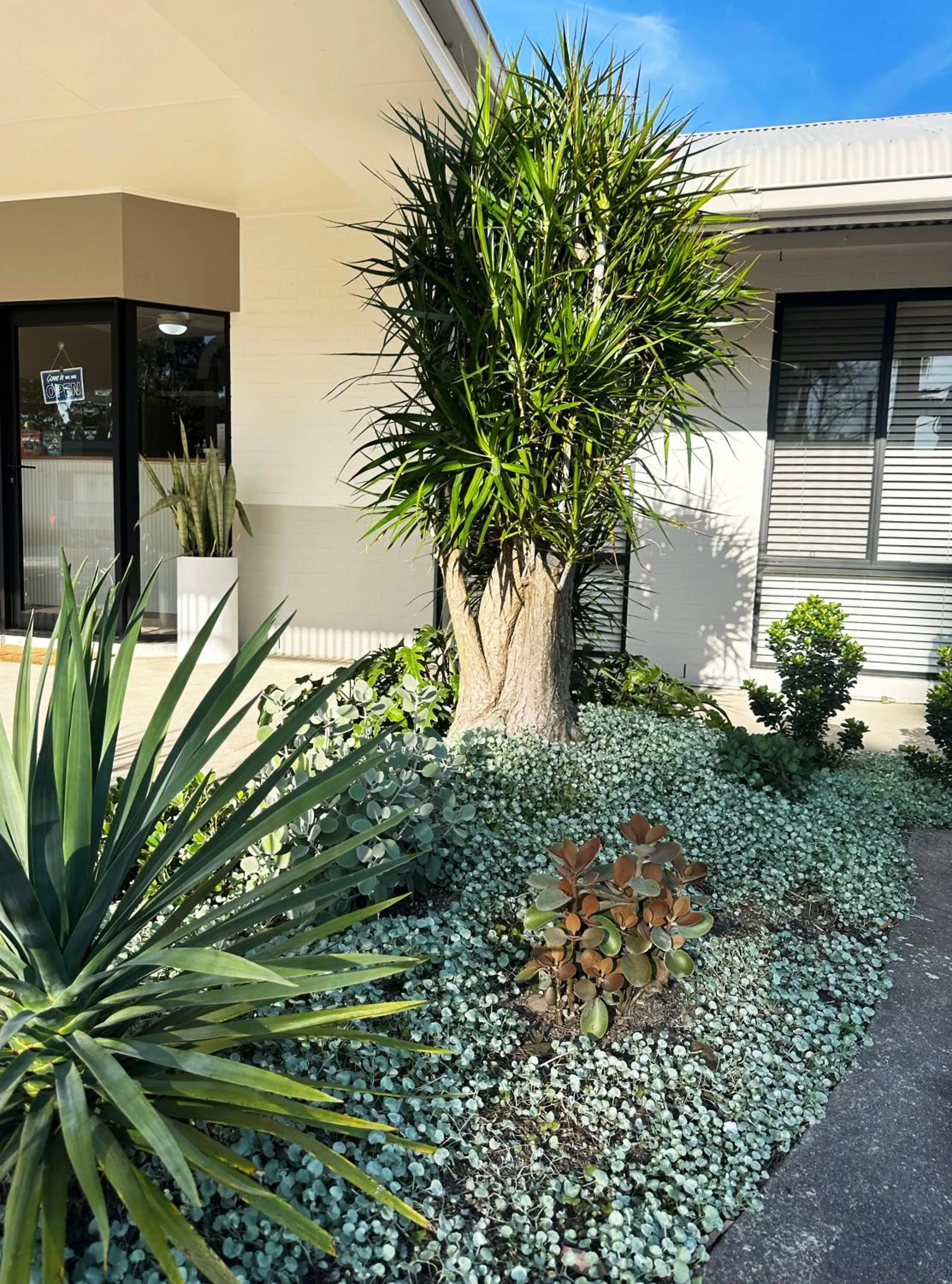 Garden in Catalina Motel Lake Macquarie