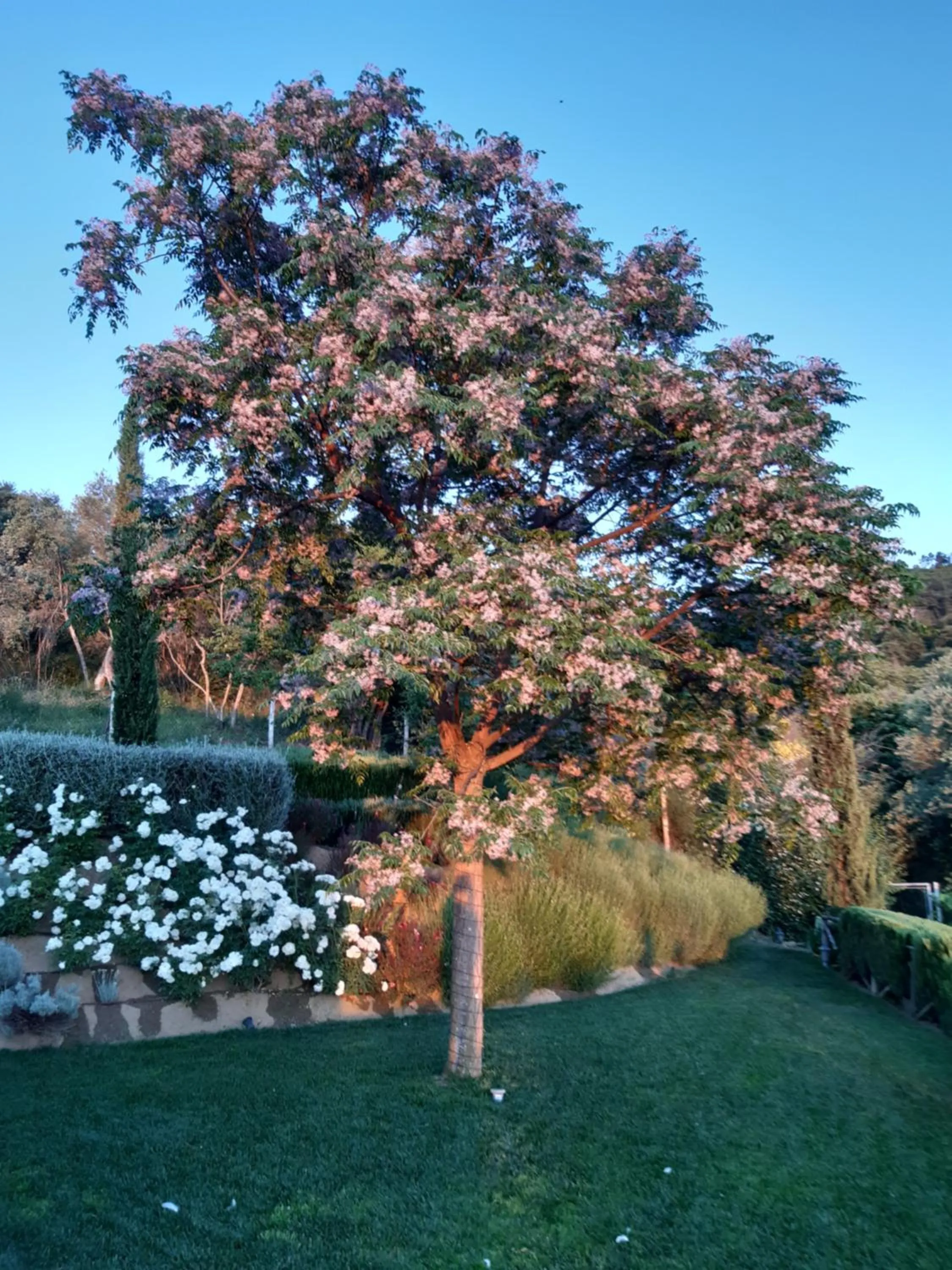 Piccolo Relais Galletto di Marzo Spa e relax solo per due