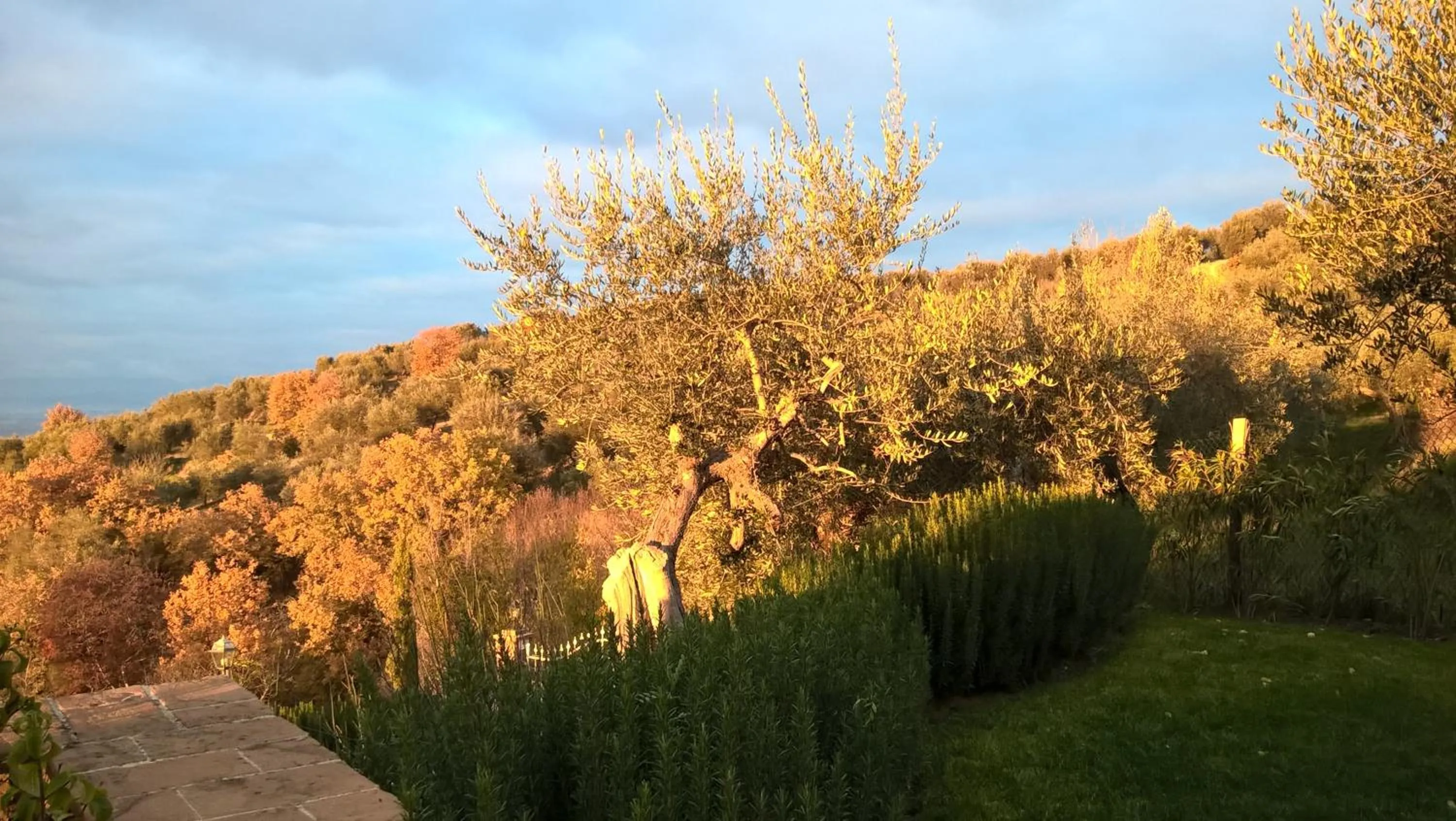 Garden in Piccolo Relais Galletto di Marzo Spa e relax solo per due