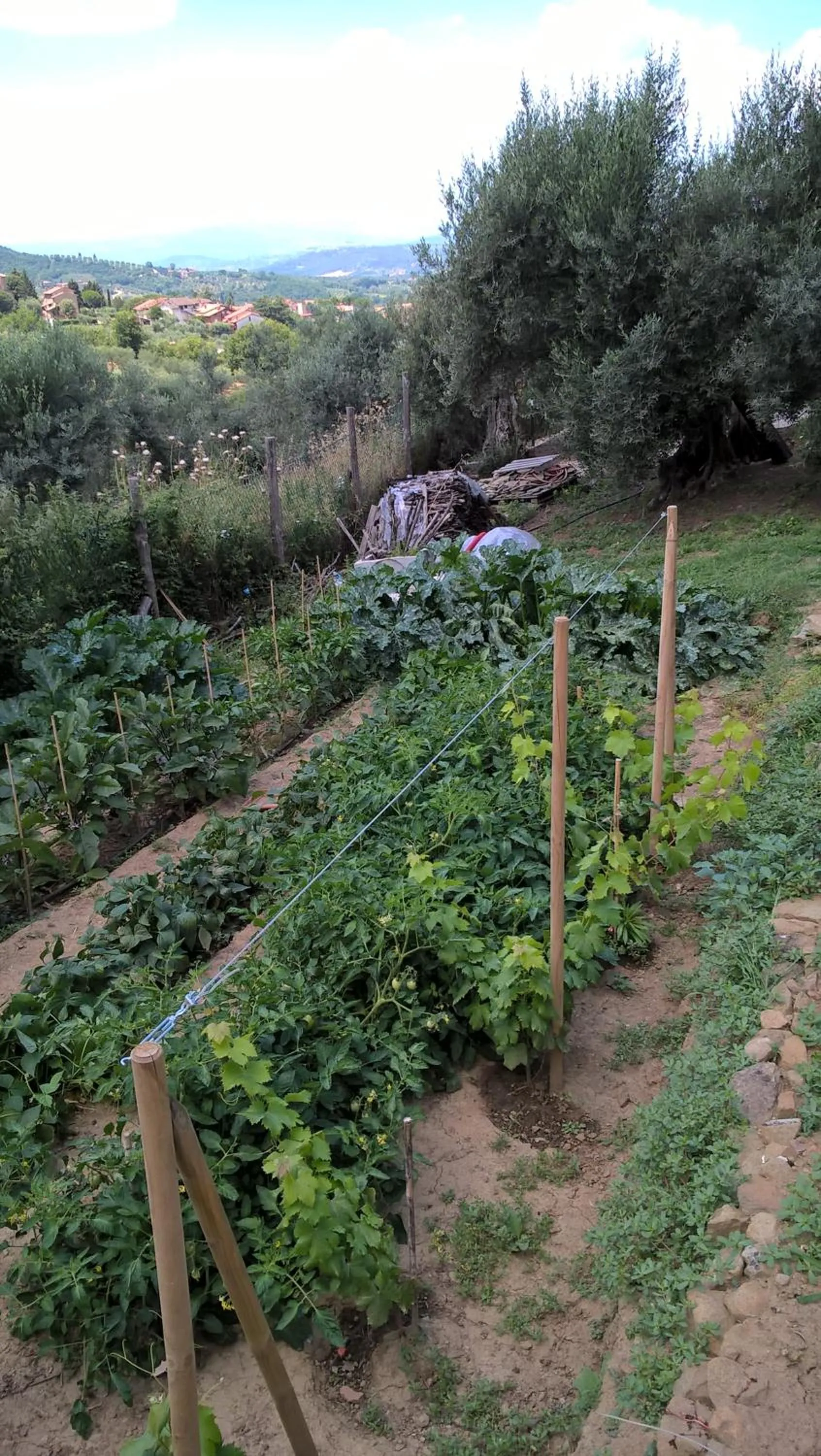 Garden in Piccolo Relais Galletto di Marzo Spa e relax solo per due