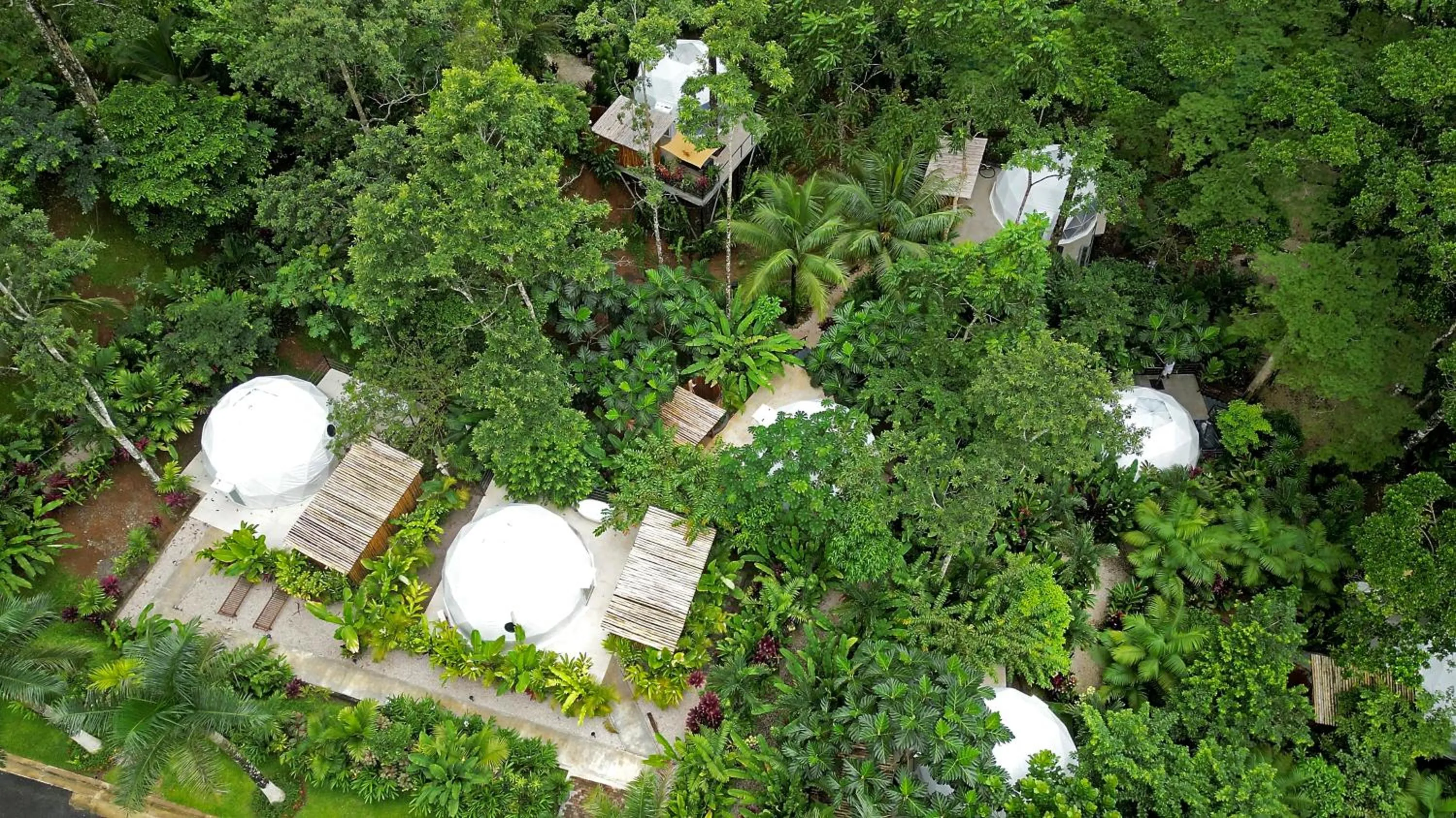 Day in Palo Alto Glamping Hotel