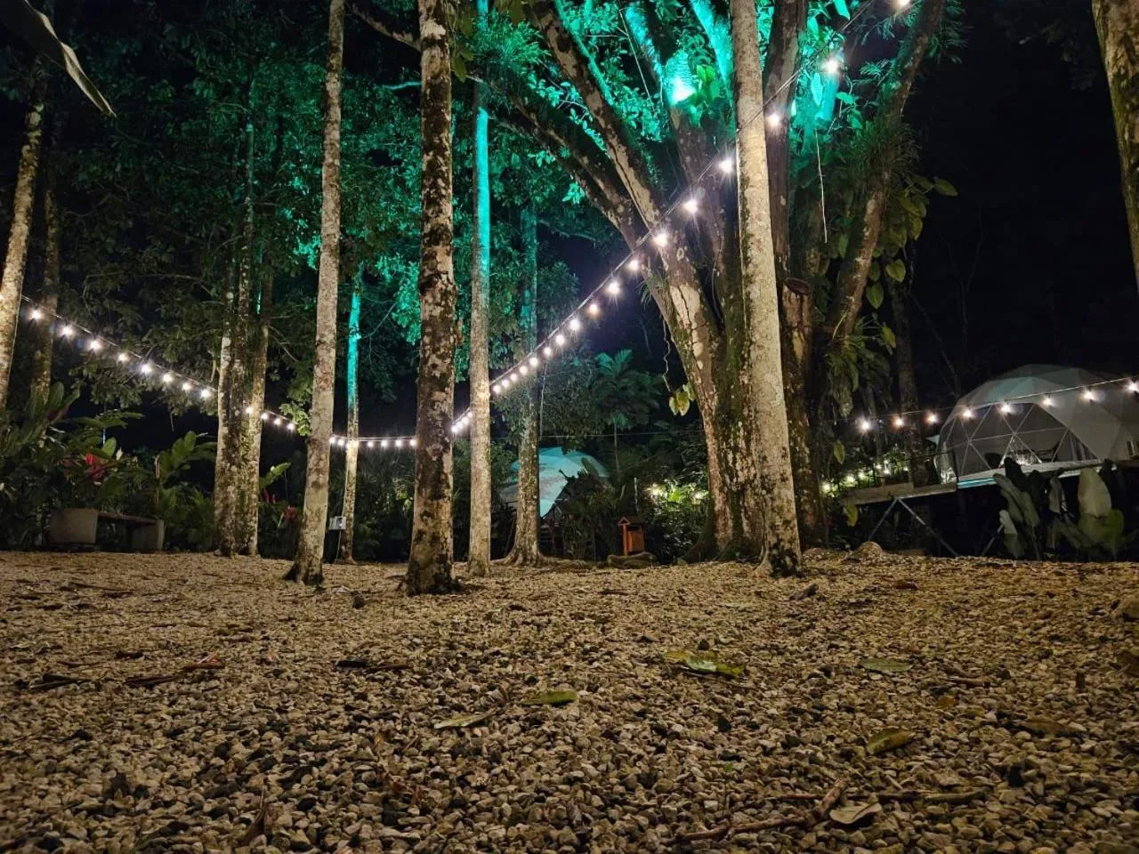 Natural landscape in Palo Alto Glamping Hotel