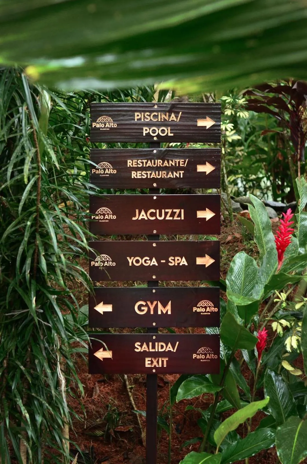 Area and facilities in Palo Alto Glamping Hotel