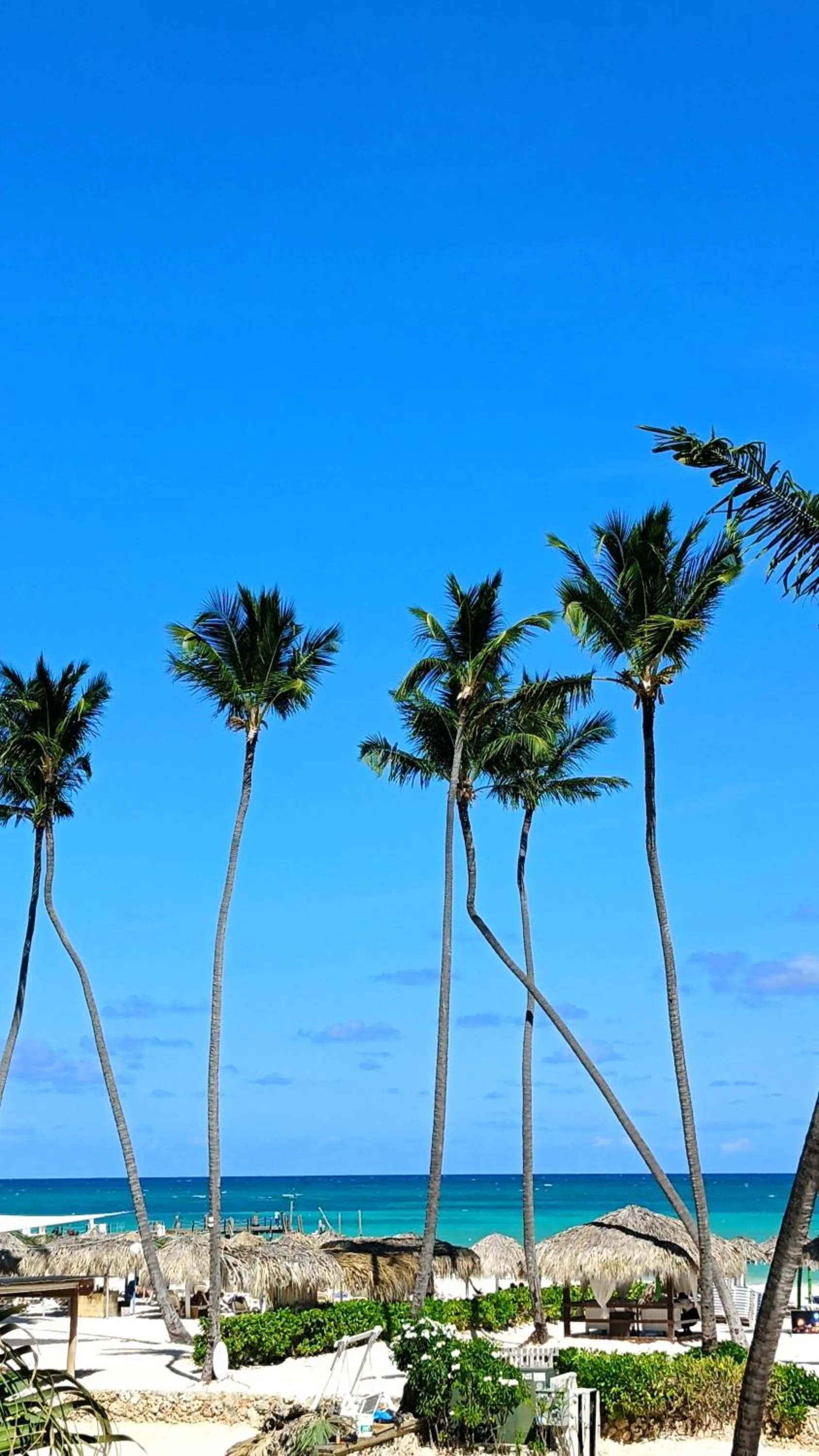 Beach in Los Corales Beach Village Punta Cana - The original
