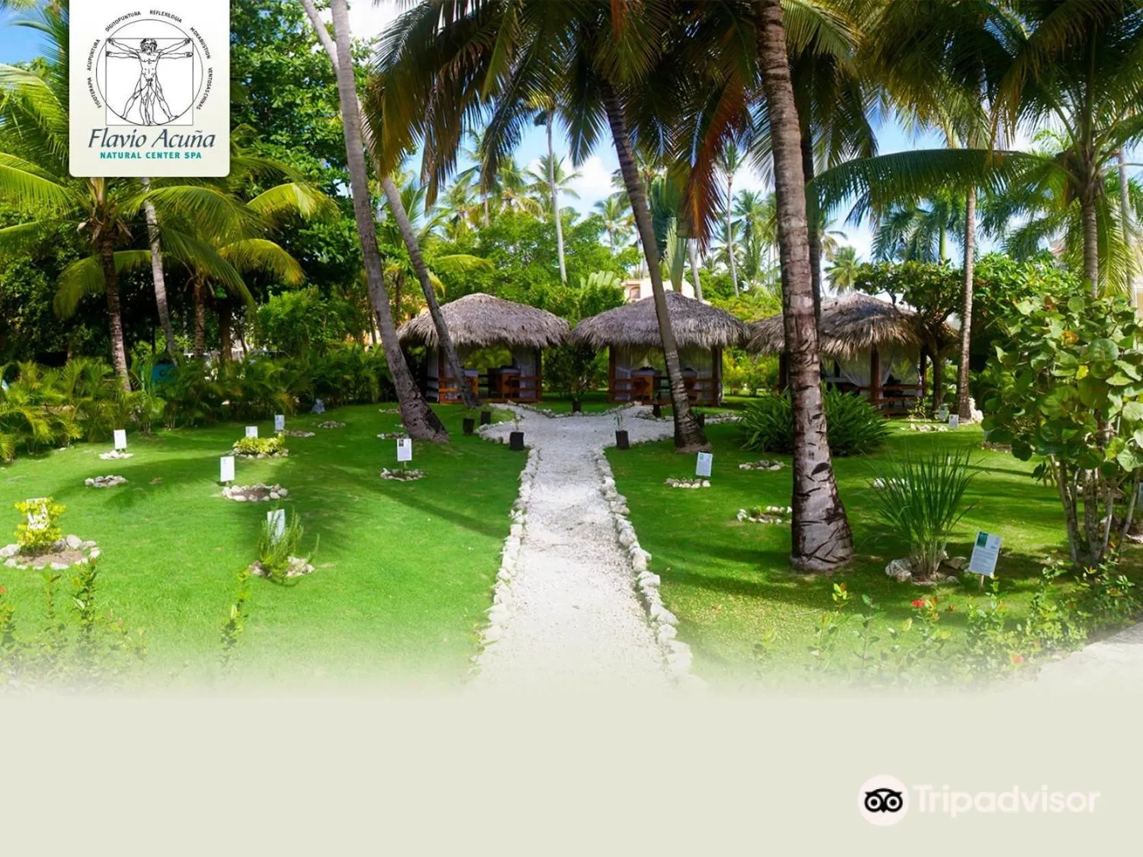 Spa and wellness centre/facilities in Los Corales Beach Village Punta Cana - The original