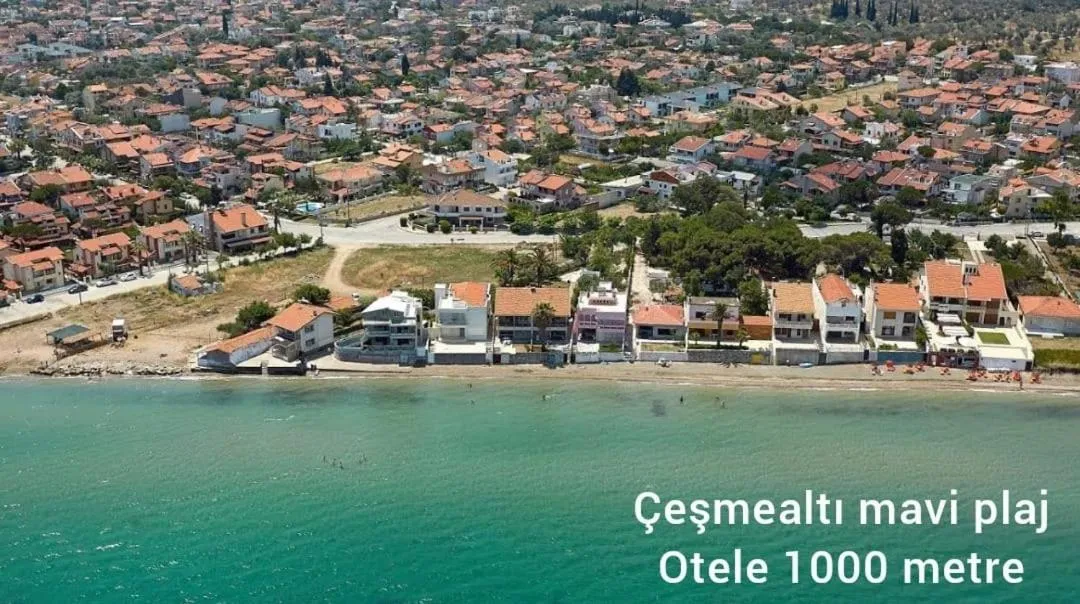 Beach in Hotel Barba