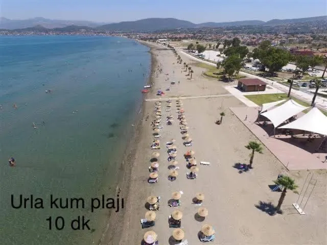 Beach in Hotel Barba