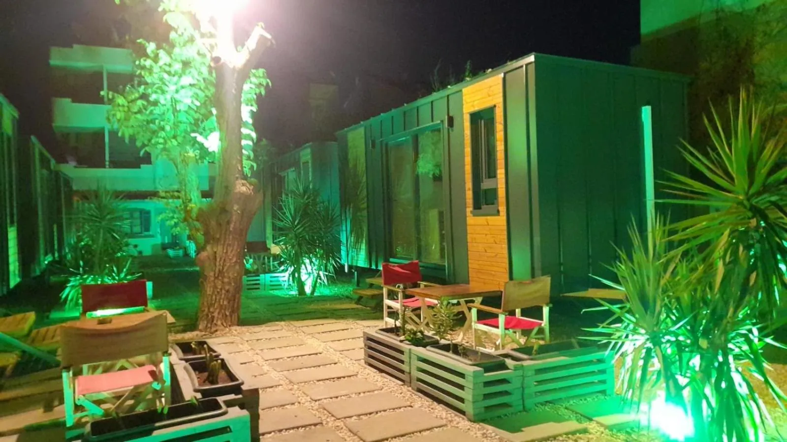 Garden in Hotel Barba