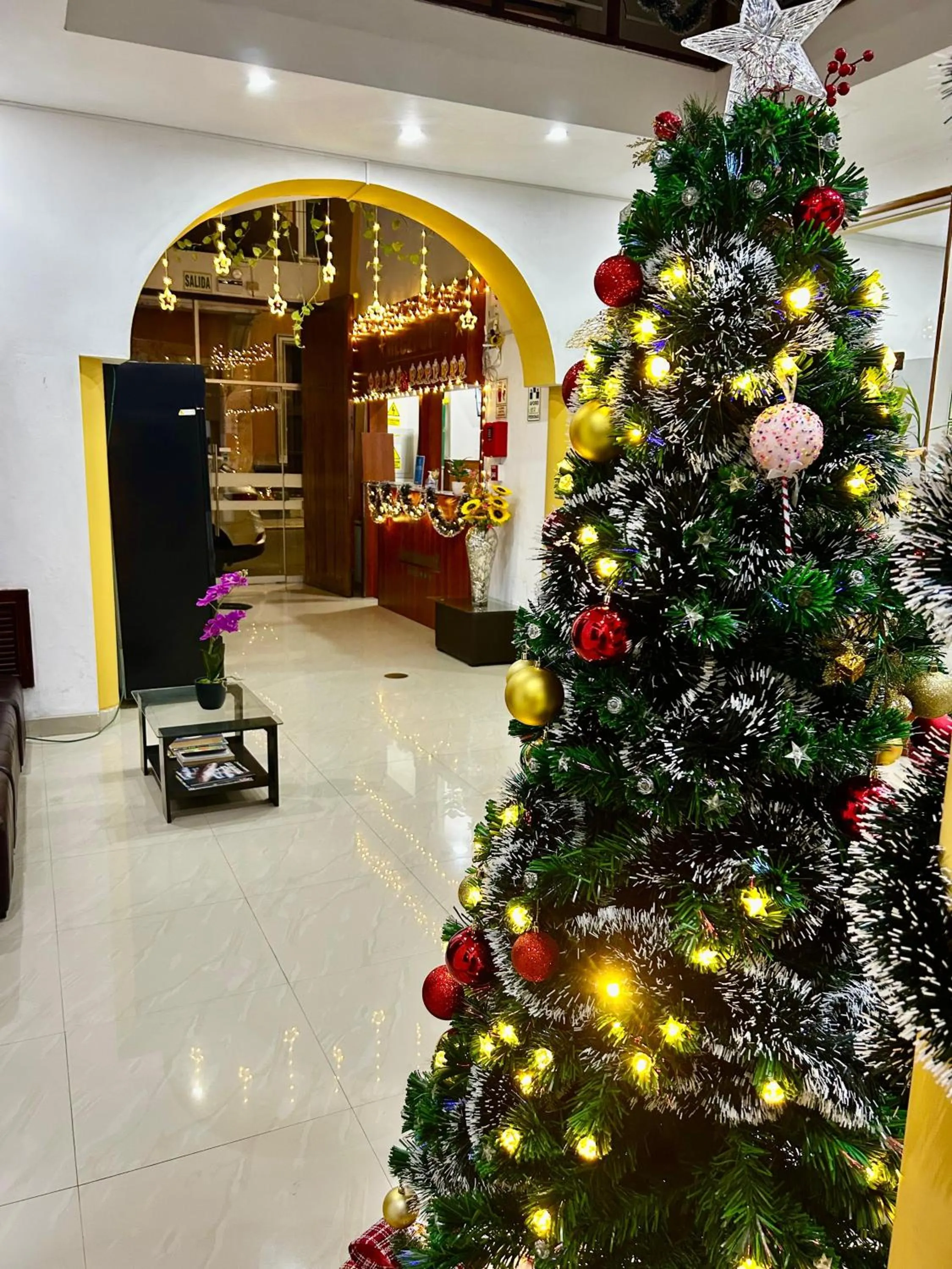 HOTEL LOS ANDES SUITE