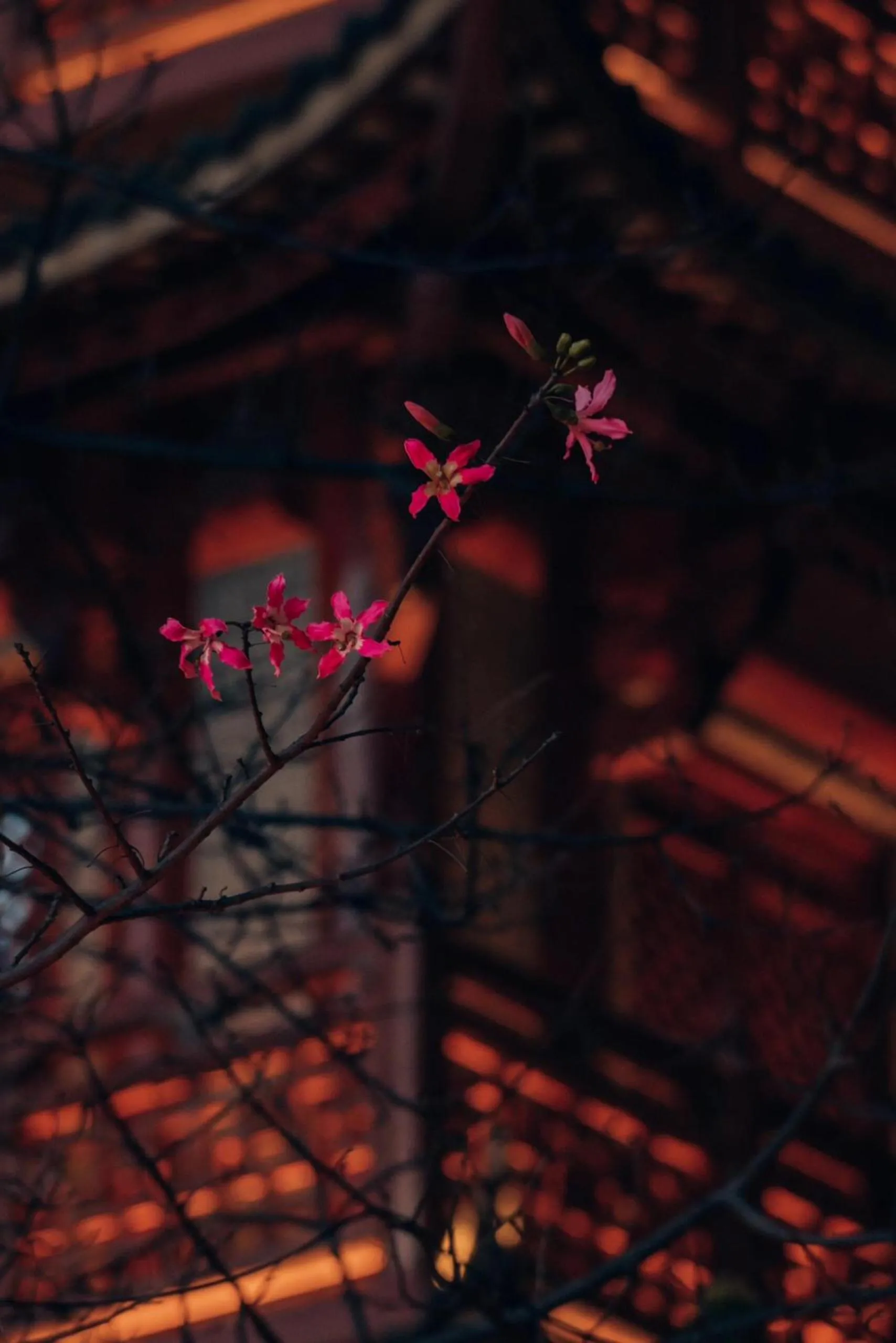 Day in Yimimi Apartment - Guangzhou 13th Line Yide Road Metro Station