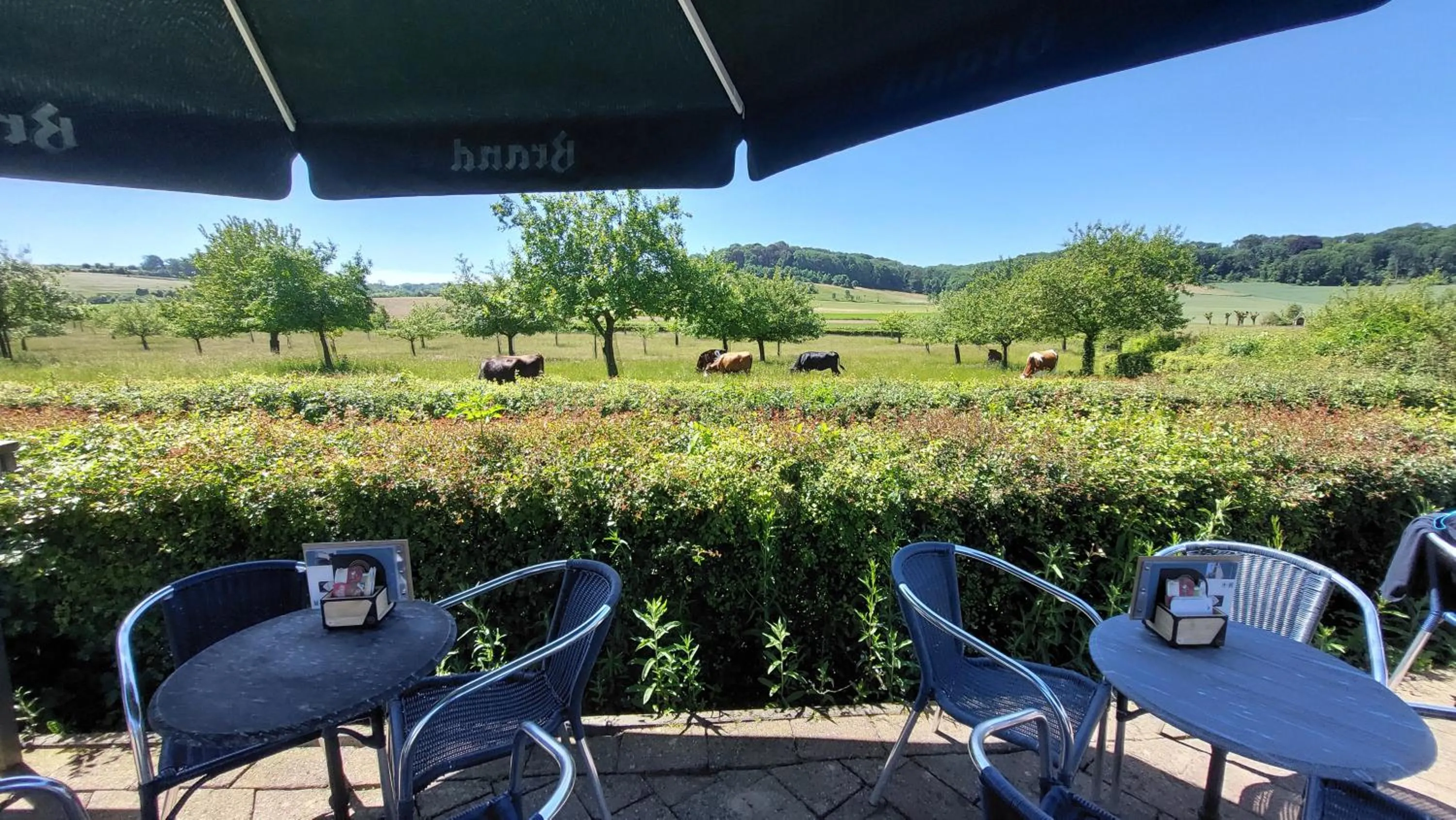 Bed & Breakfast Hotel Het Gerendal